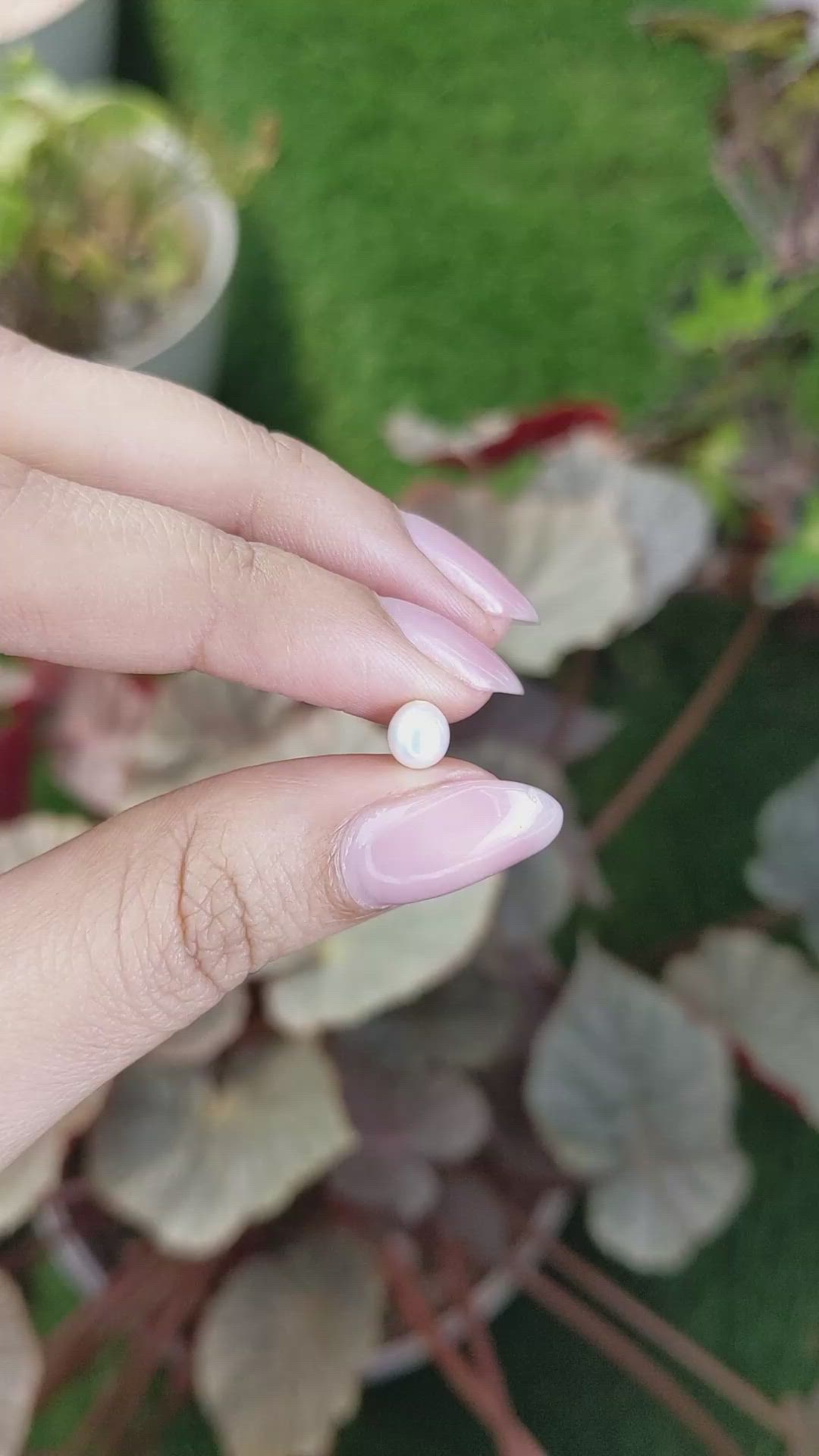 1.06 Ct. Cream with Silver Overtone Akoya Pearl from China Size Video