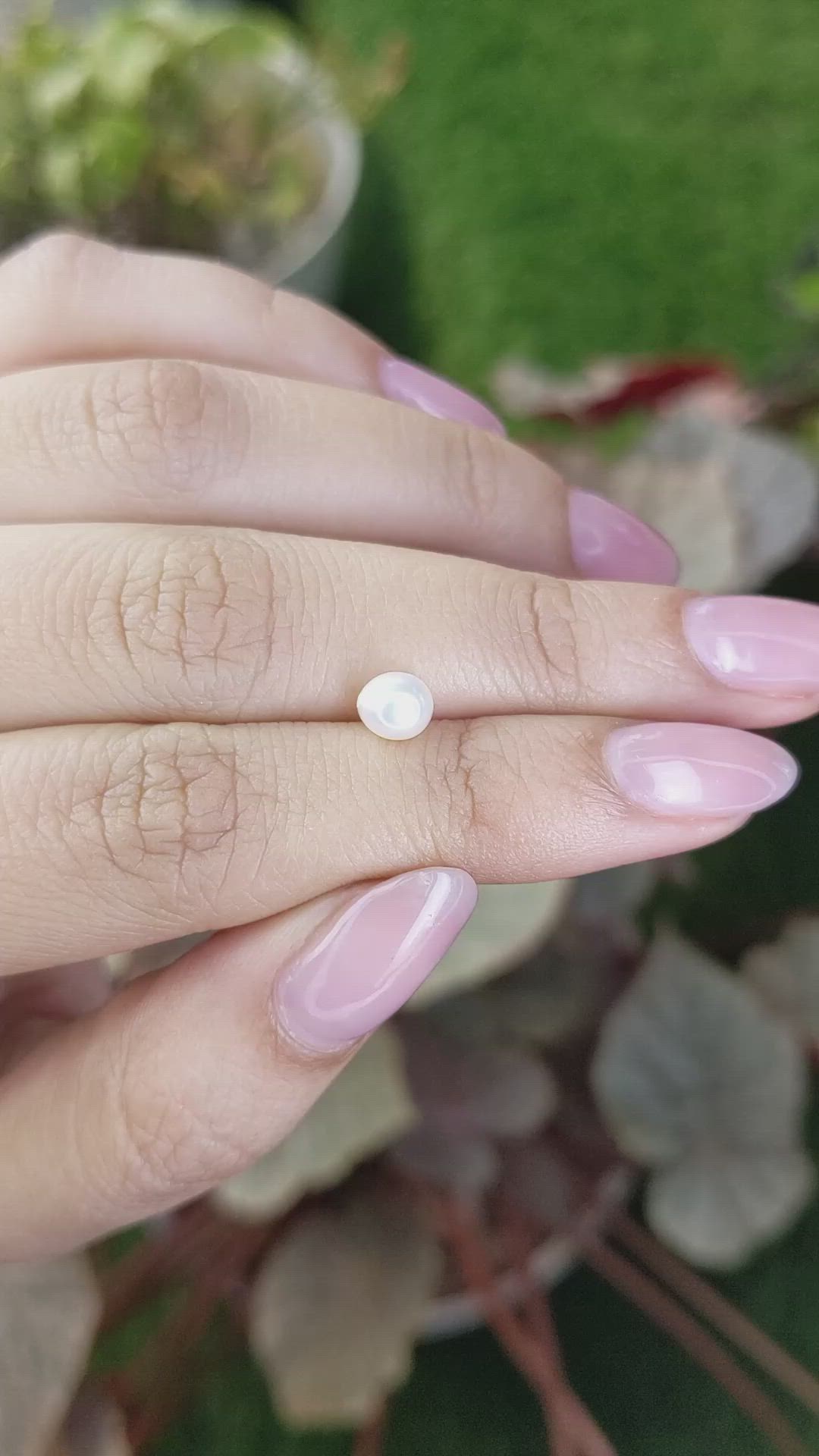 1.06 Ct. Cream with Silver Overtone Akoya Pearl from China Size Video