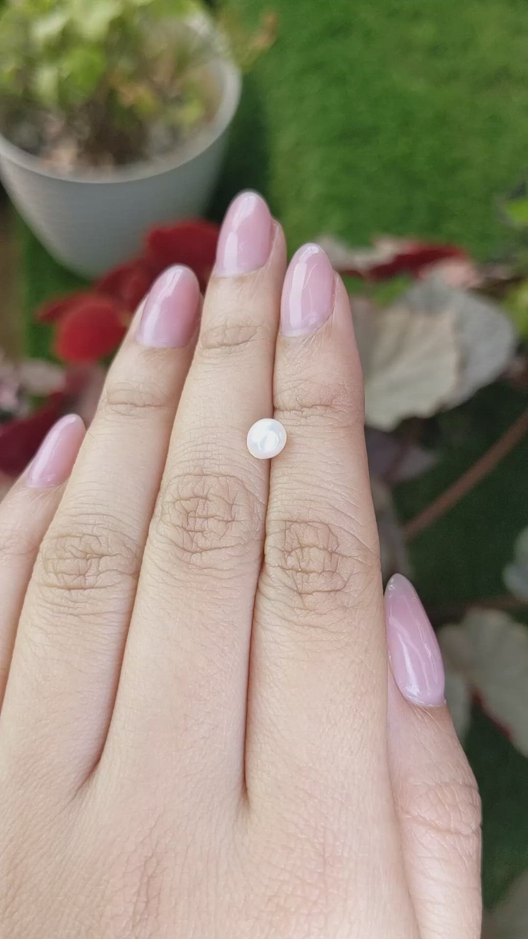 1.06 Ct. Cream with Silver Overtone Akoya Pearl from China Size Video