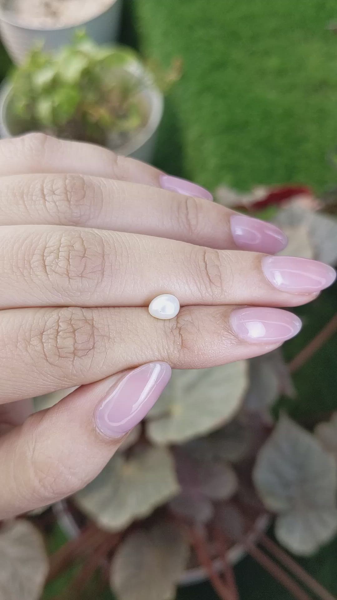 1.13 Ct. Cream with Silver Overtone Akoya Pearl from China Size Video
