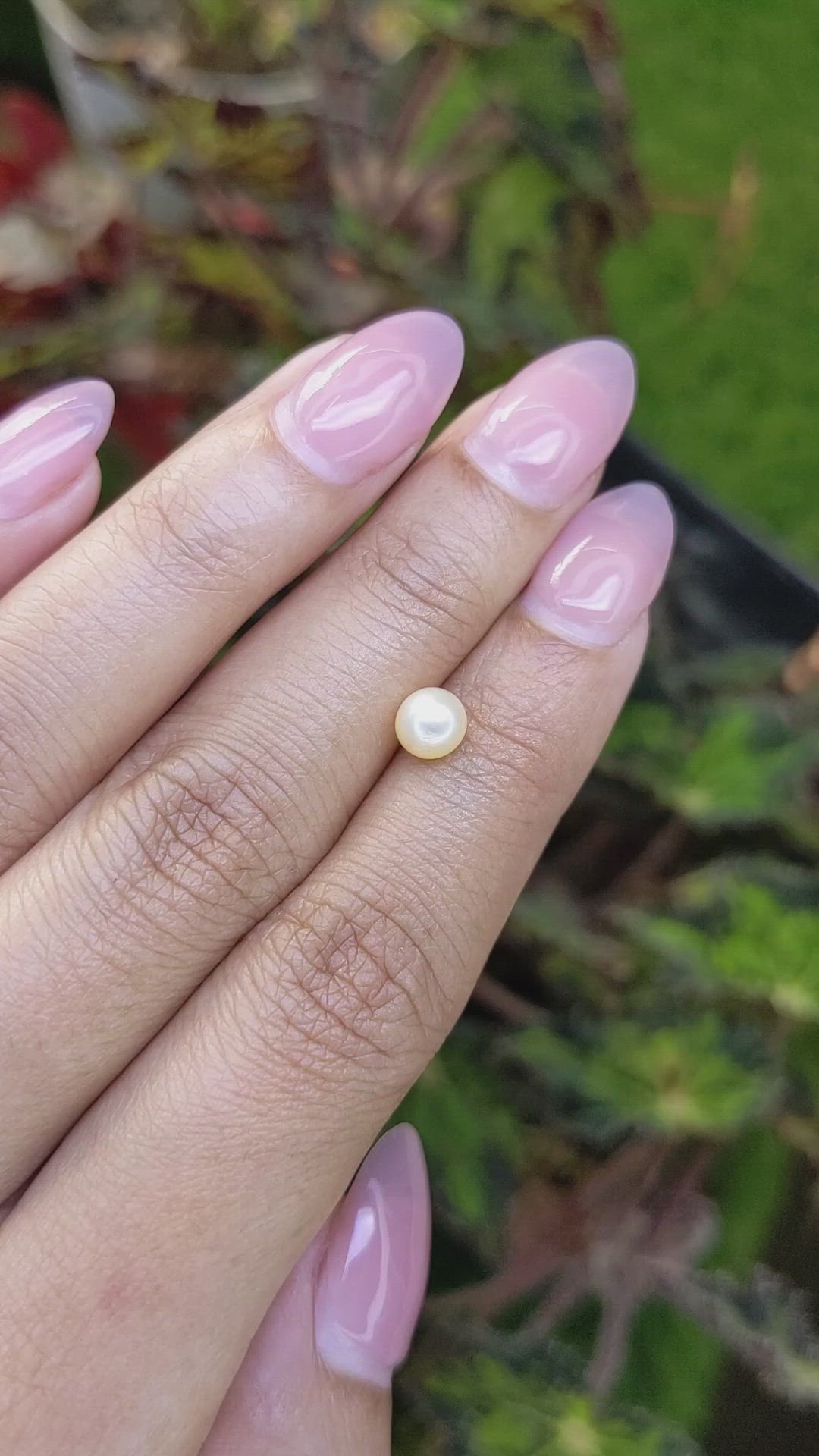 1.13 Ct. Cream with Silver Overtone Akoya Pearl from China Size Video