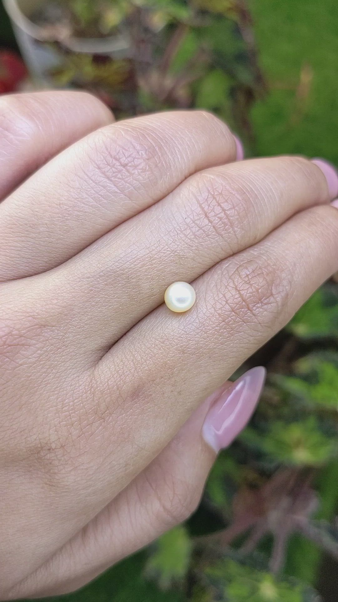 1.13 Ct. Cream with Silver Overtone Akoya Pearl from China Size Video