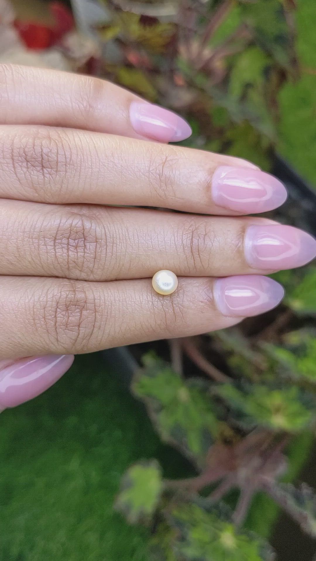 1.13 Ct. Cream with Silver Overtone Akoya Pearl from China Size Video