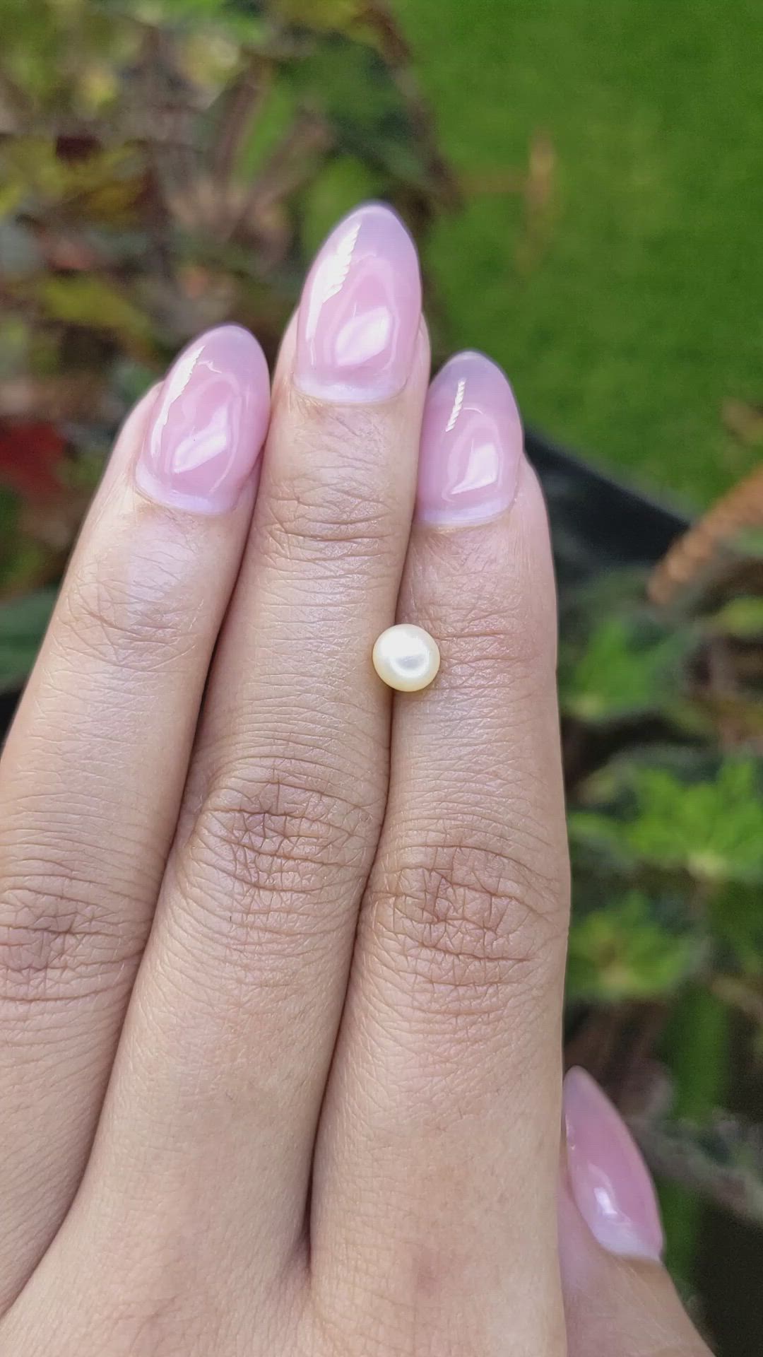 1.13 Ct. Cream with Silver Overtone Akoya Pearl from China Size Video