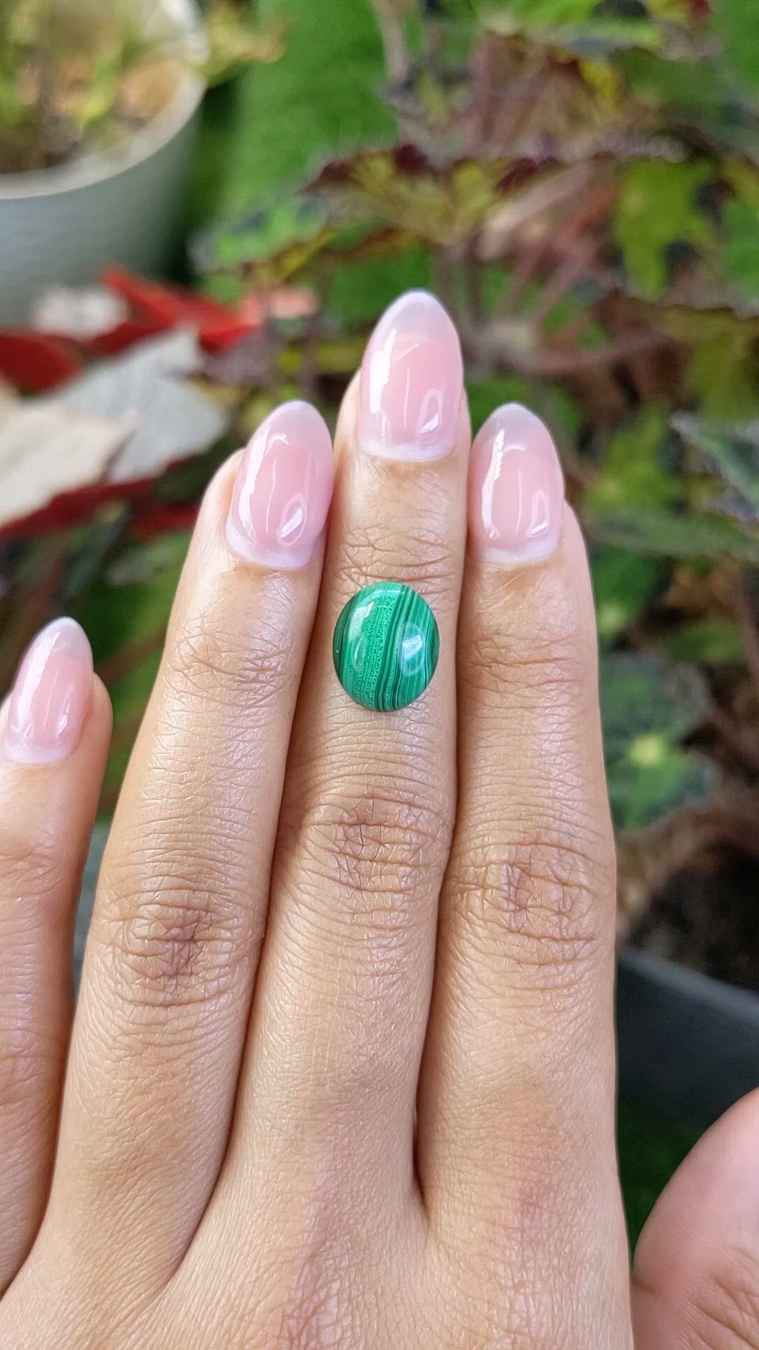 4.93 Ct. Cabochon Malachite from Russia Size Video