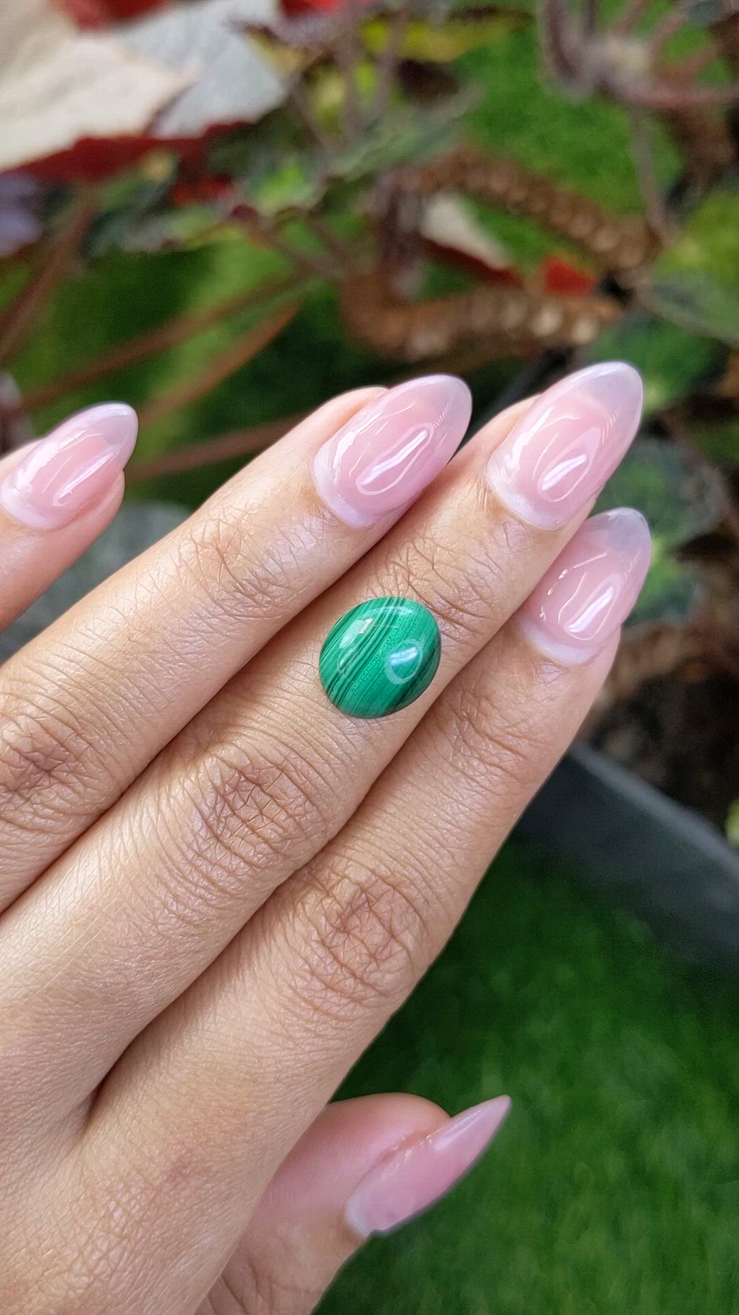 4.84 Ct. Cabochon Malachite from Russia Size Video