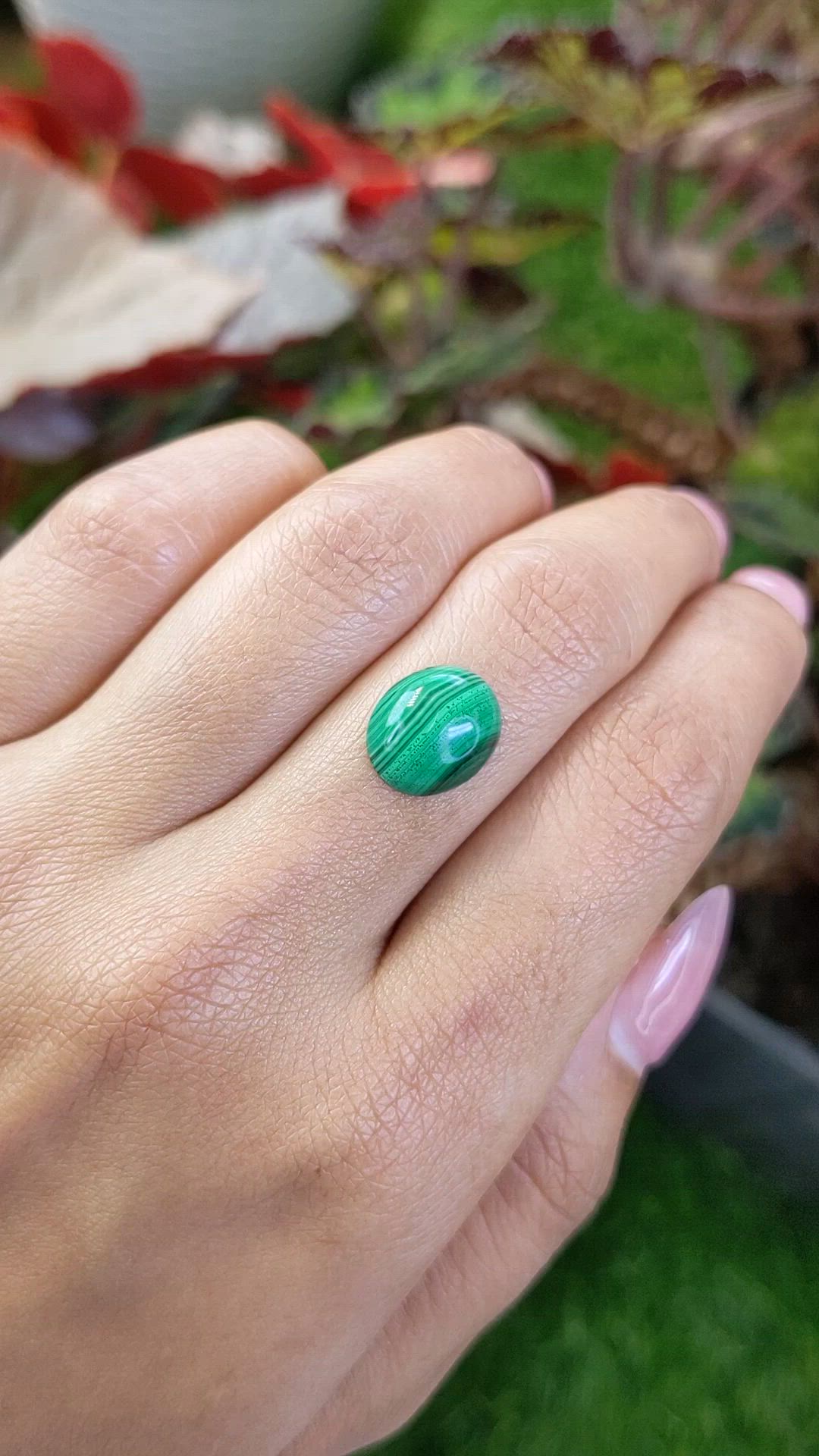 5.14 Ct. Cabochon Malachite from Russia Size Video