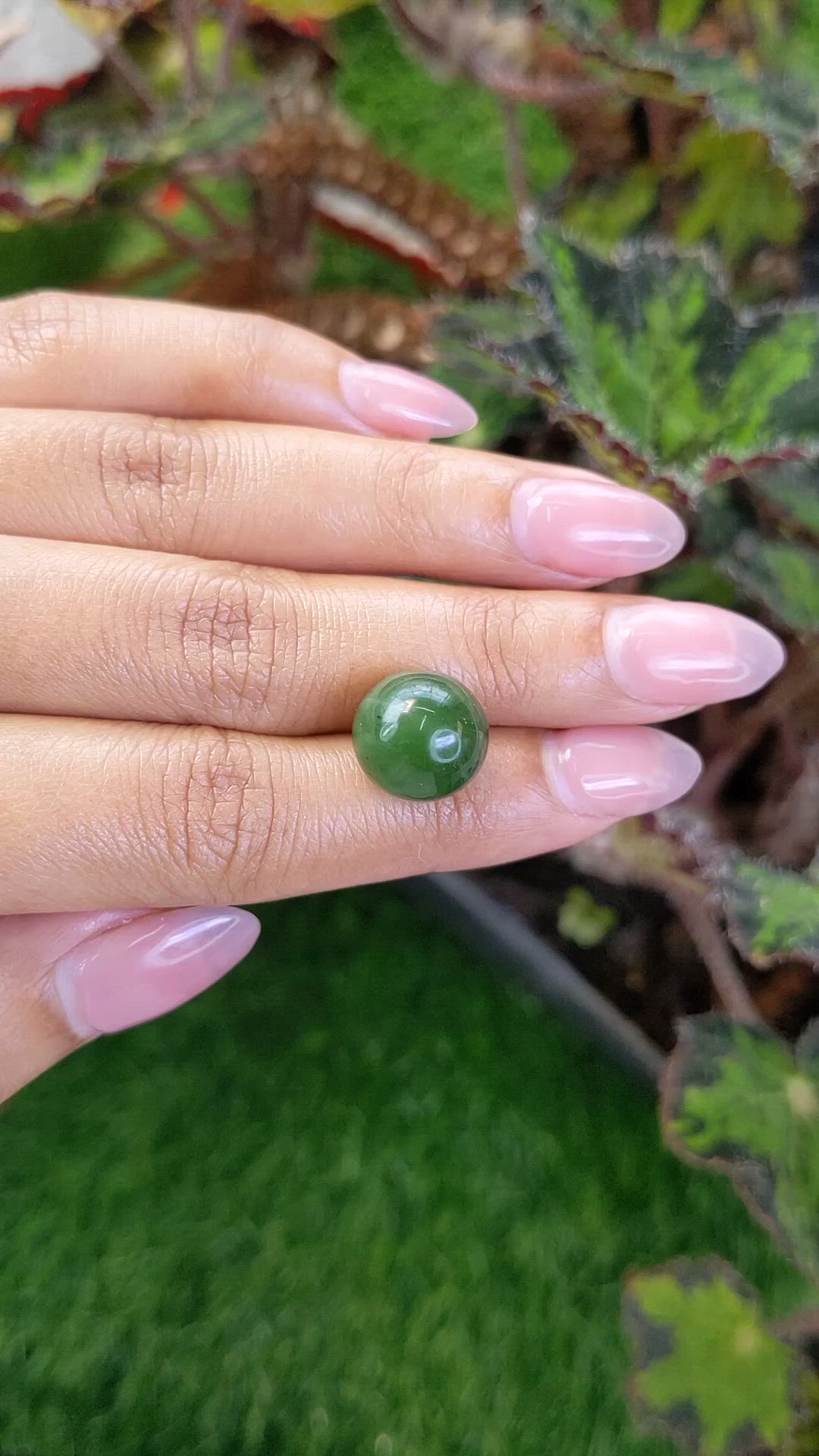 14.90 Ct. Green Jade from Burma (Myanmar) Size Video