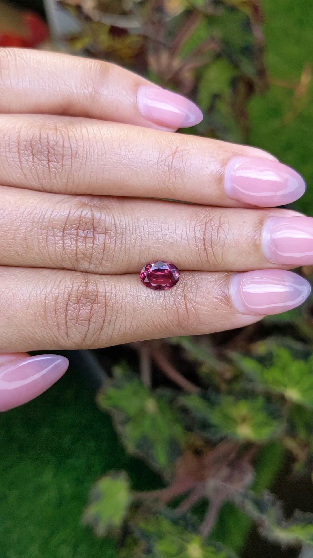 1.29 Ct. Purplish Pink Rhodolite Garnet from Ceylon (Sri Lanka) Size Video