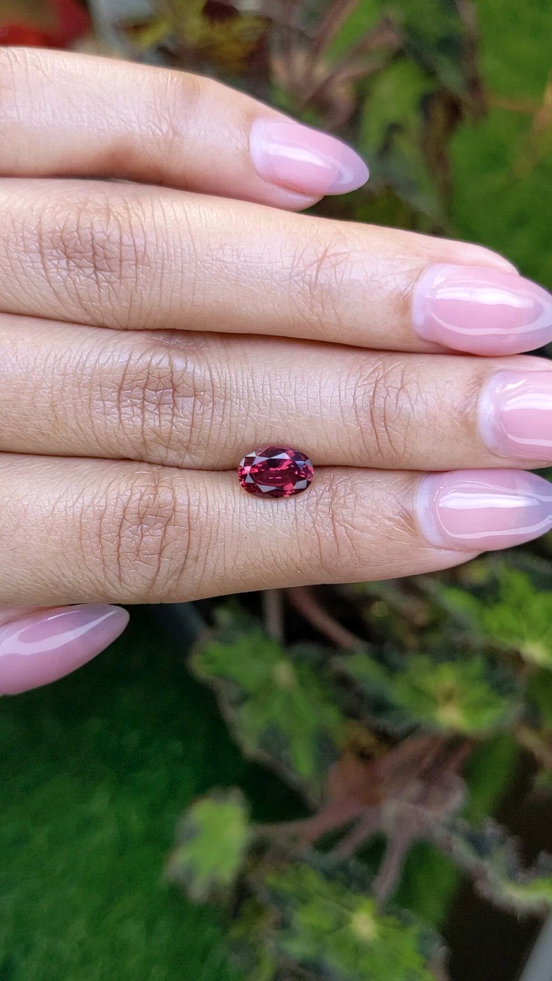 1.53 Ct. Red Rhodolite Garnet from Ceylon (Sri Lanka) Size Video