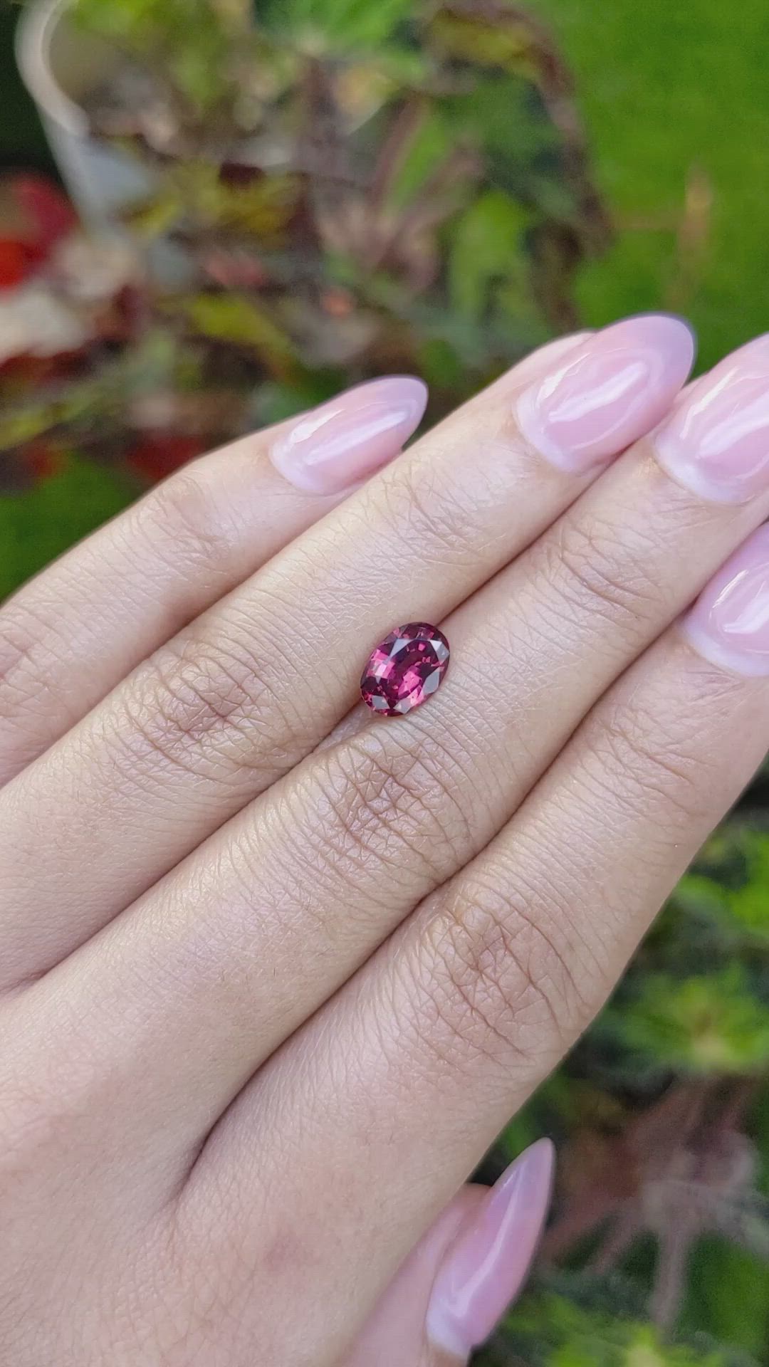 1.53 Ct. Red Rhodolite Garnet from Ceylon (Sri Lanka) Size Video