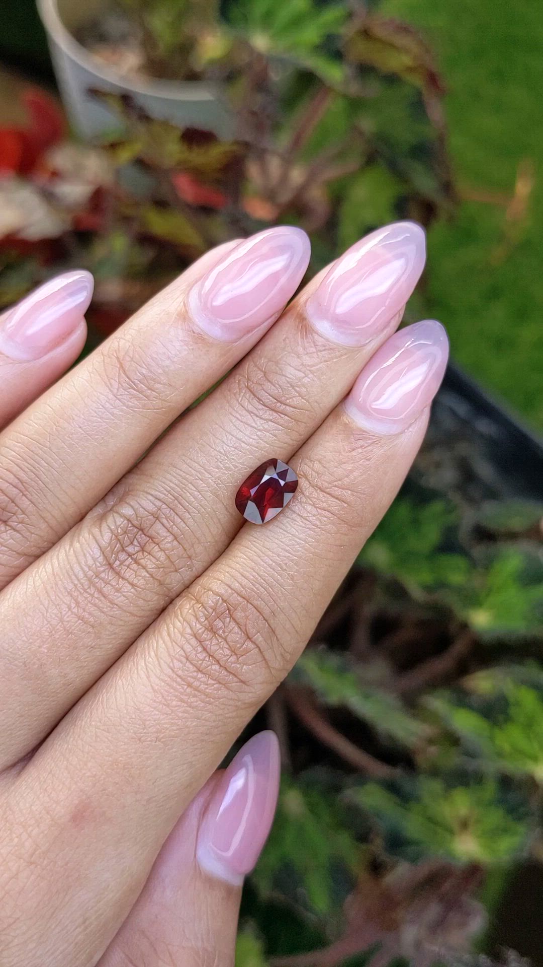 1.95 Ct. Red Garnet from Ceylon (Sri Lanka) Size Video