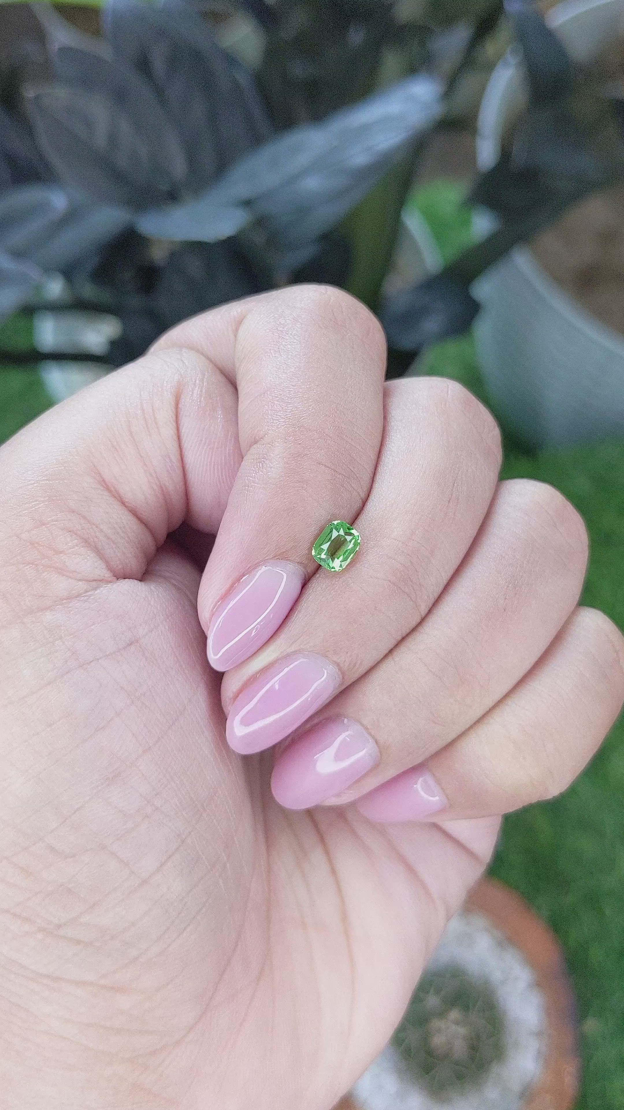 0.64 Ct. Tsavorite Garnet from Tanzania Size Video