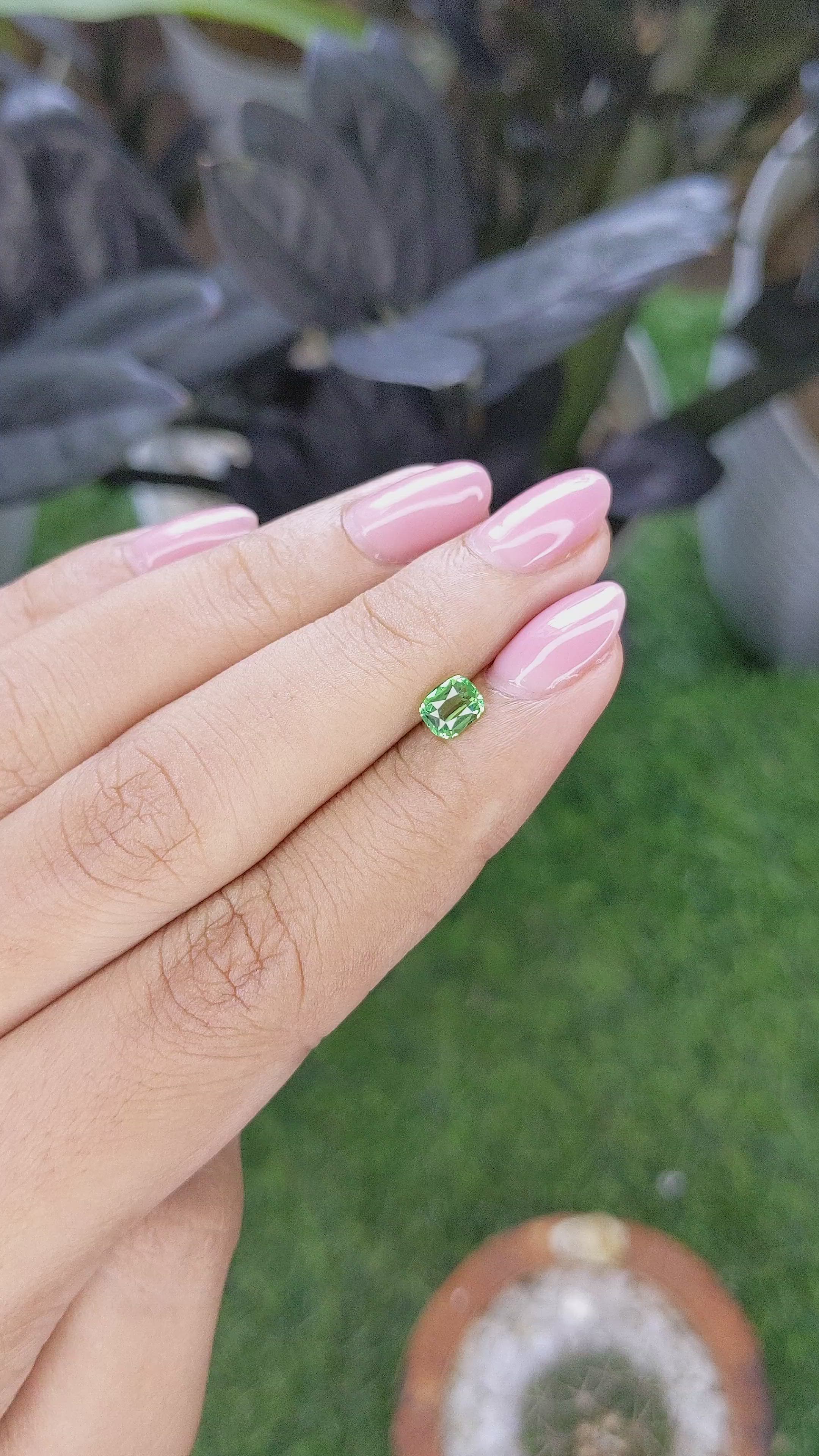 0.64 Ct. Tsavorite Garnet from Tanzania Size Video