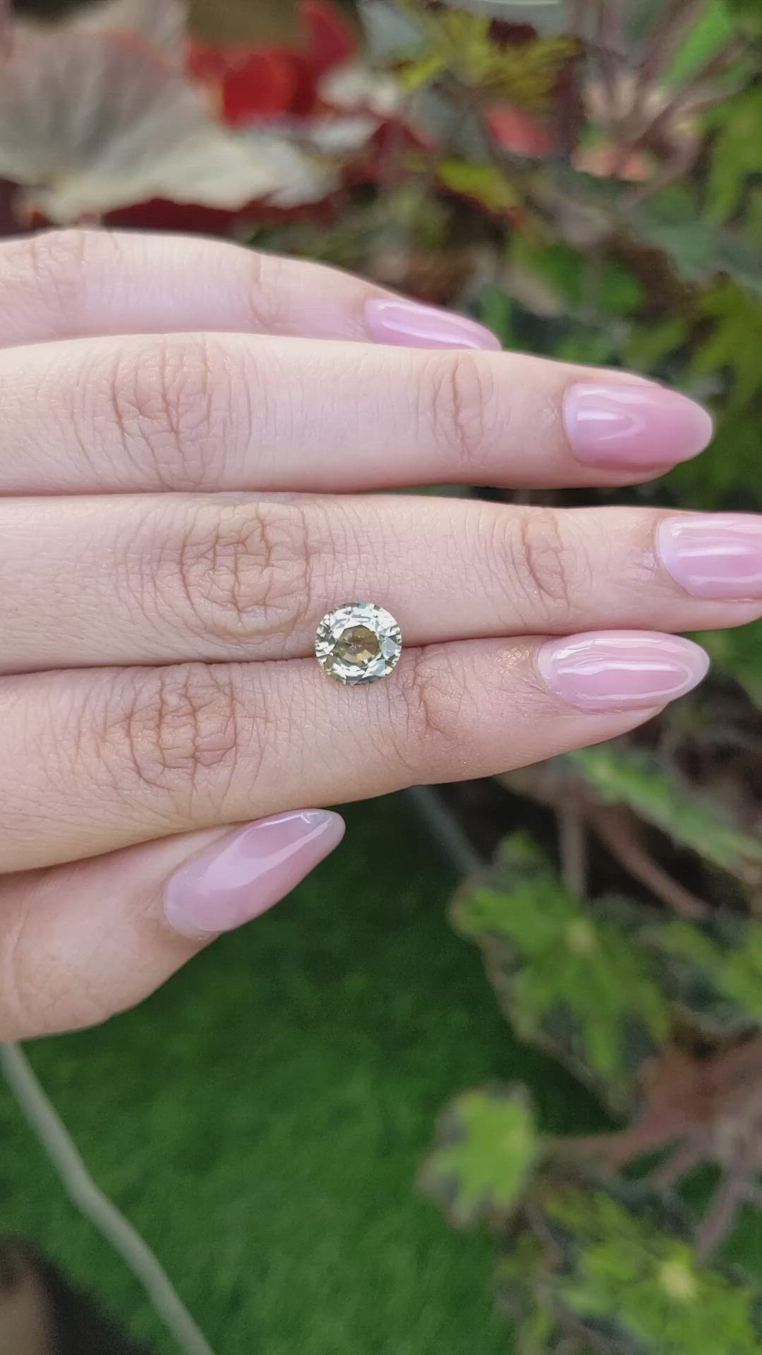 2.48 Ct. Greenish Yellow Zircon from Ceylon (Sri Lanka) Size Video