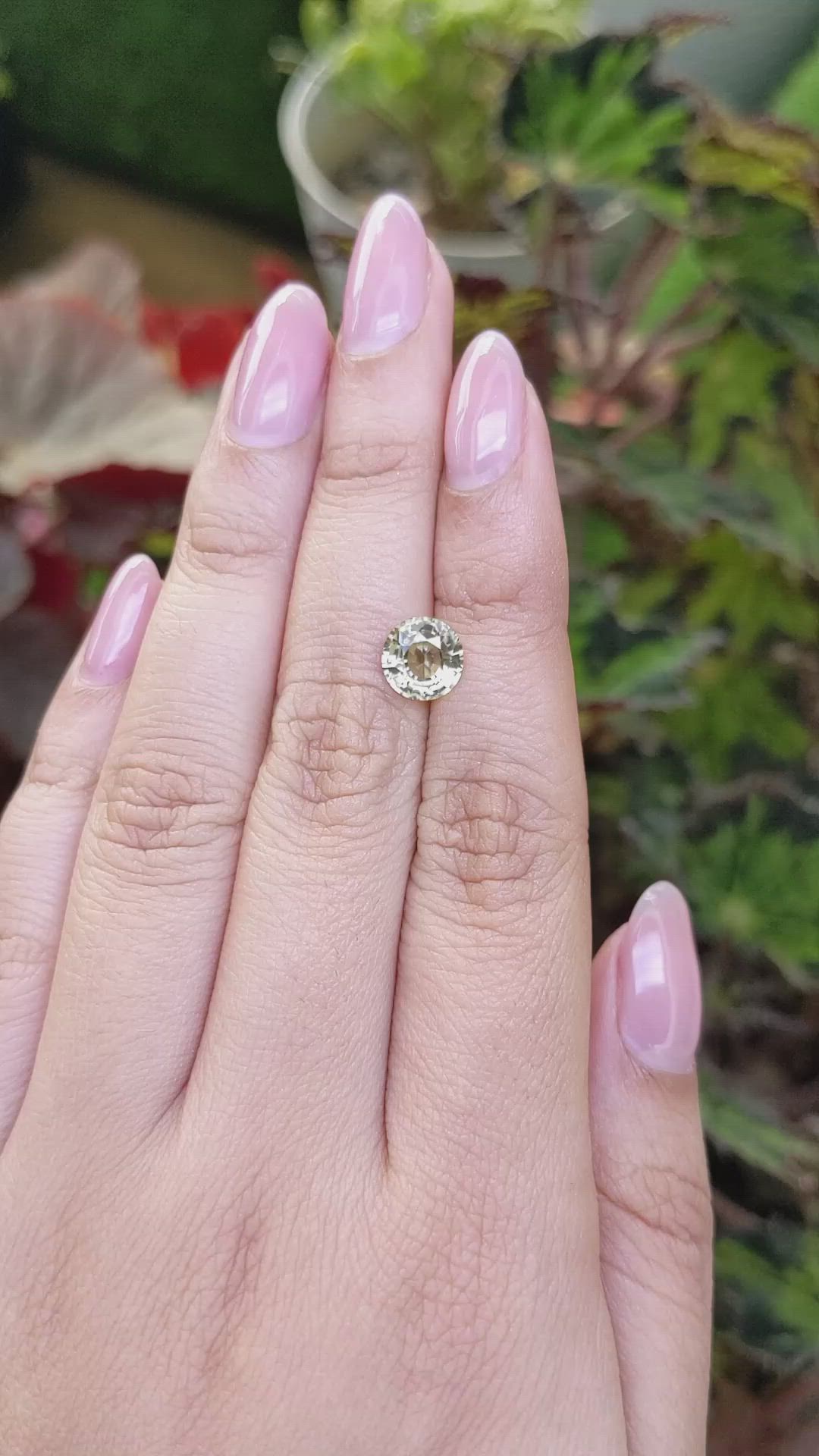 2.48 Ct. Greenish Yellow Zircon from Ceylon (Sri Lanka) Size Video