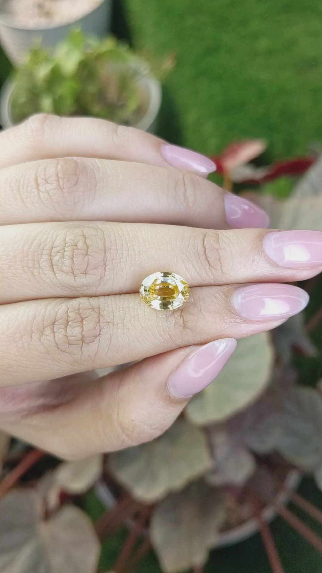 5.33 Ct. Yellow Zircon from Ceylon (Sri Lanka) Size Video