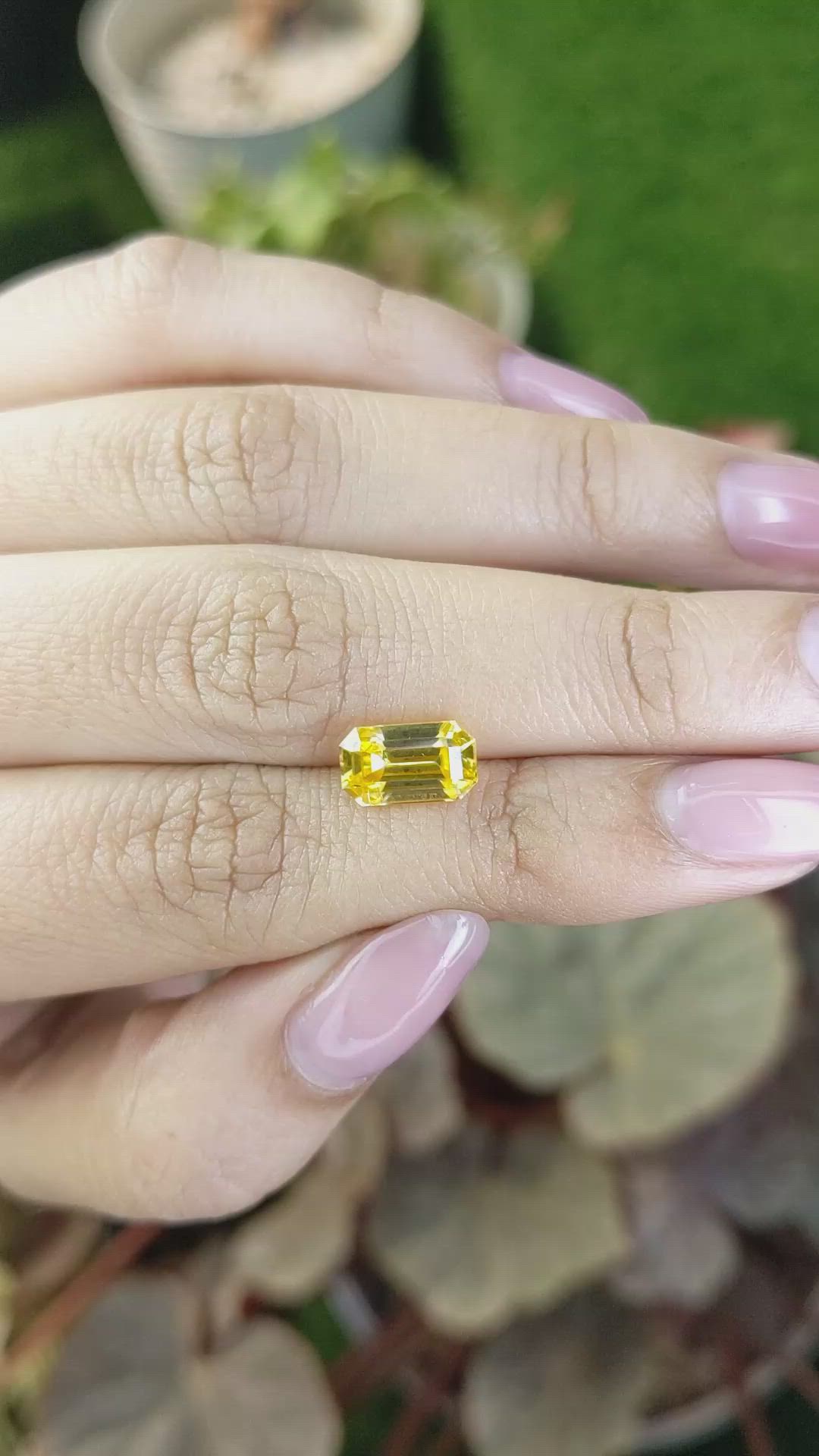 3.22 Ct. Yellow Zircon from Ceylon (Sri Lanka) Size Video