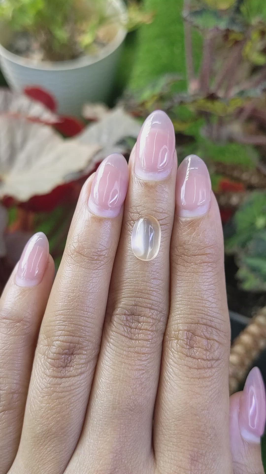 3.51 Ct. Peach Cabochon Moonstone from Ceylon (Sri Lanka) Size Video