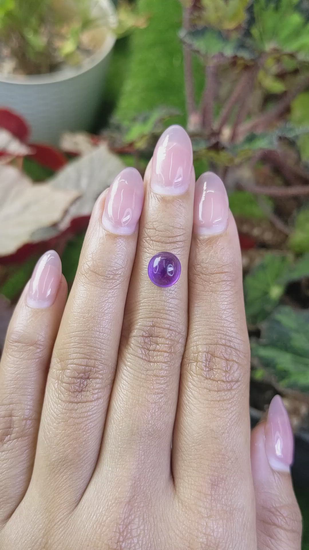 2.21 Ct. Purple Cabochon Amethyst from Ceylon (Sri Lanka) Size Video