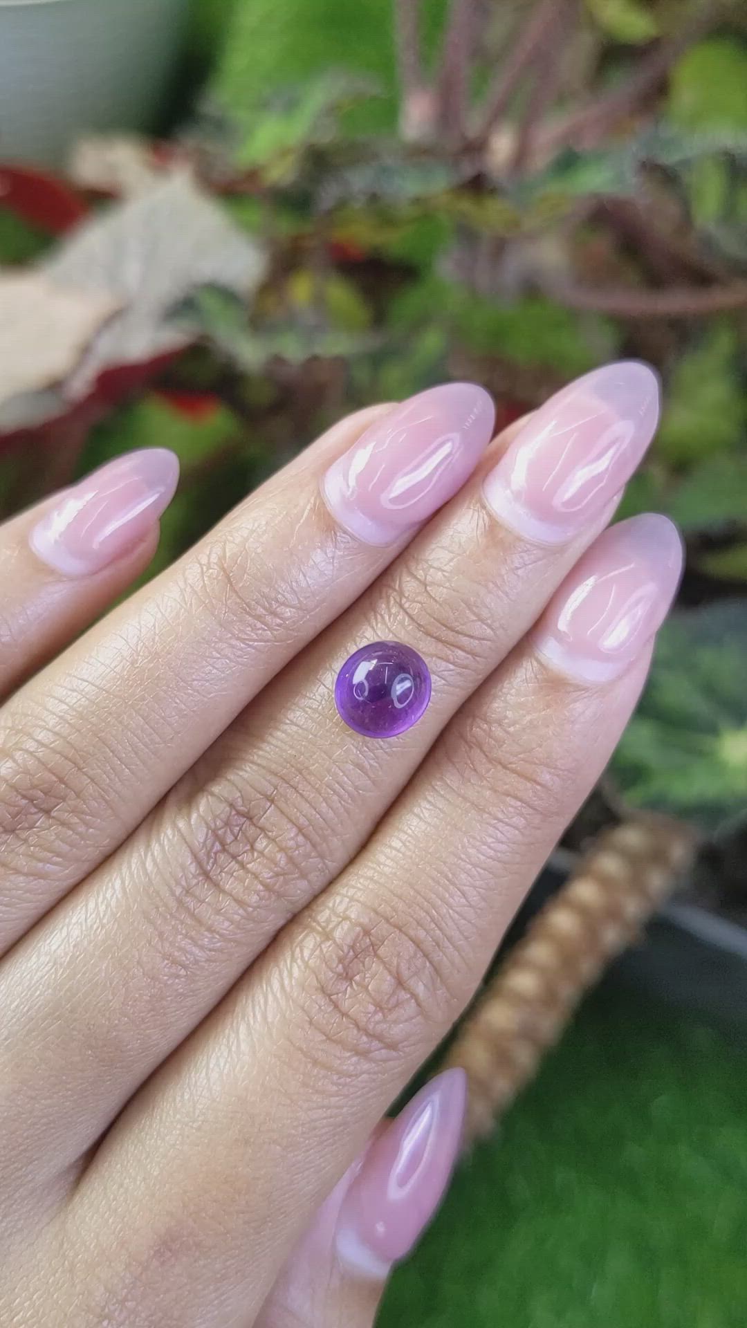 2.21 Ct. Purple Cabochon Amethyst from Ceylon (Sri Lanka) Size Video