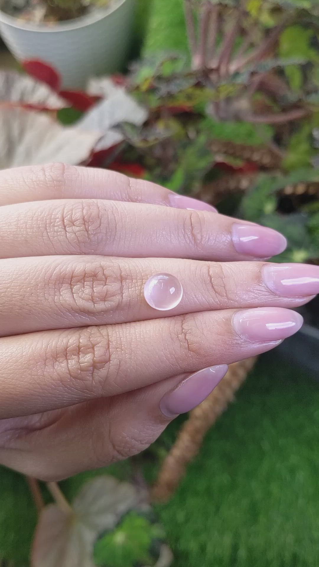 2.38 Ct. Pink Cabochon Rose Quartz from Ceylon (Sri Lanka) Size Video