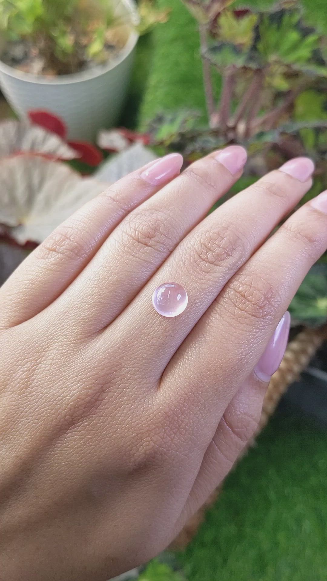 2.38 Ct. Pink Cabochon Rose Quartz from Ceylon (Sri Lanka) Size Video