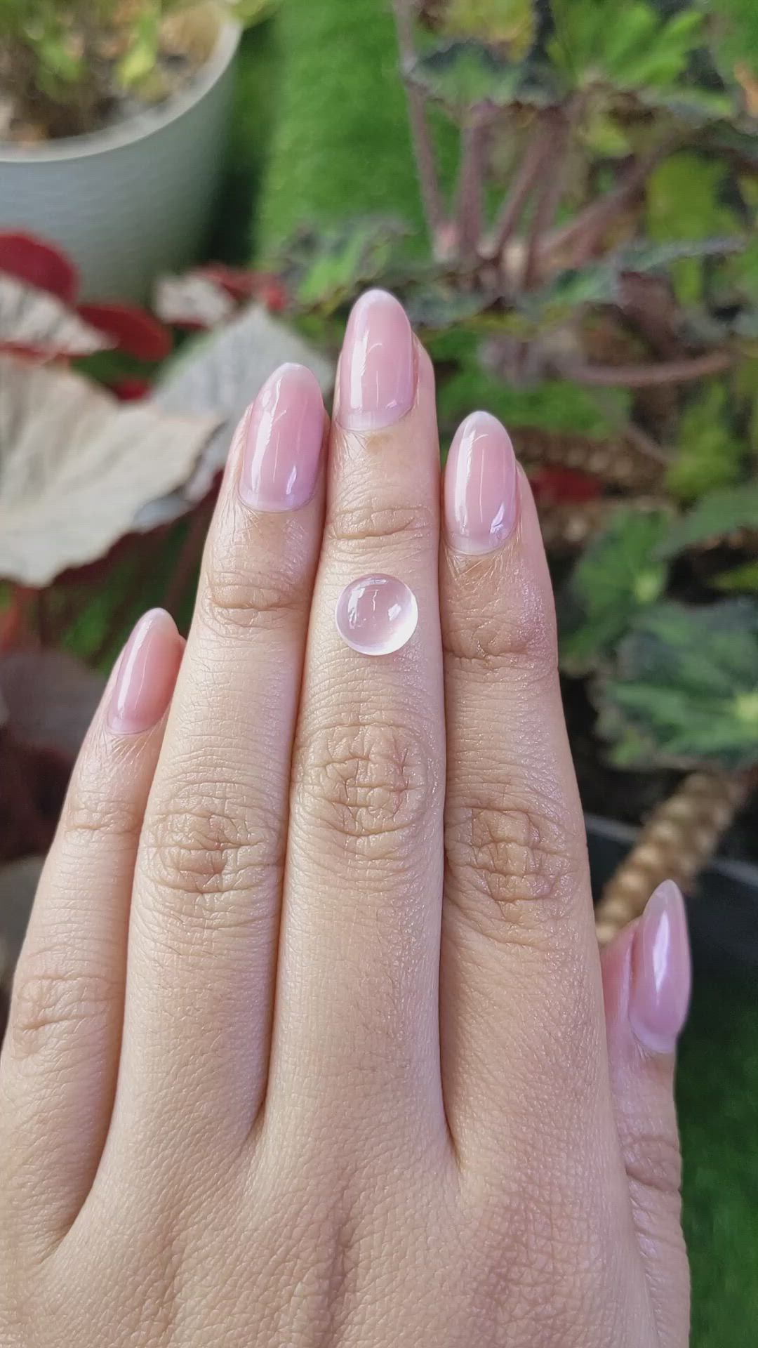 2.38 Ct. Pink Cabochon Rose Quartz from Ceylon (Sri Lanka) Size Video