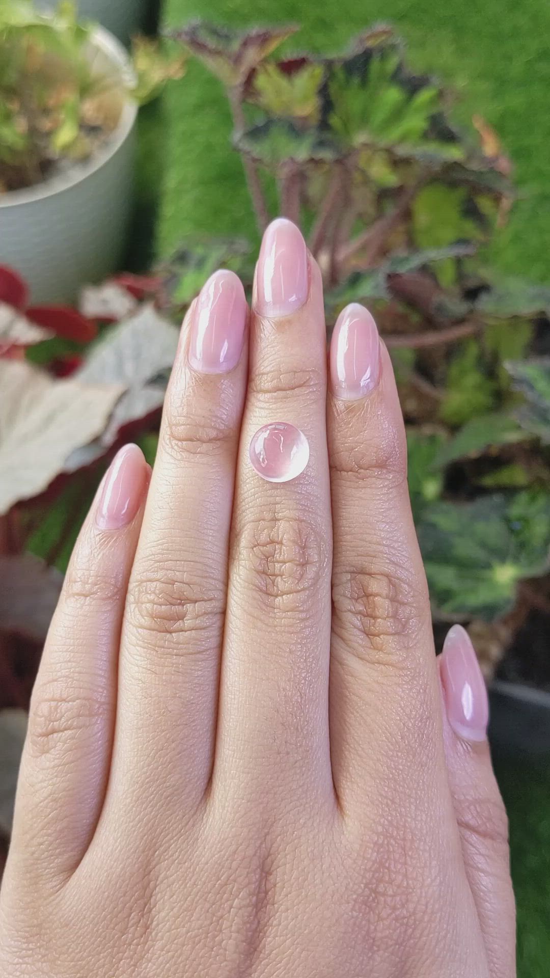 2.68 Ct. Pink Cabochon Rose Quartz from Ceylon (Sri Lanka) Size Video