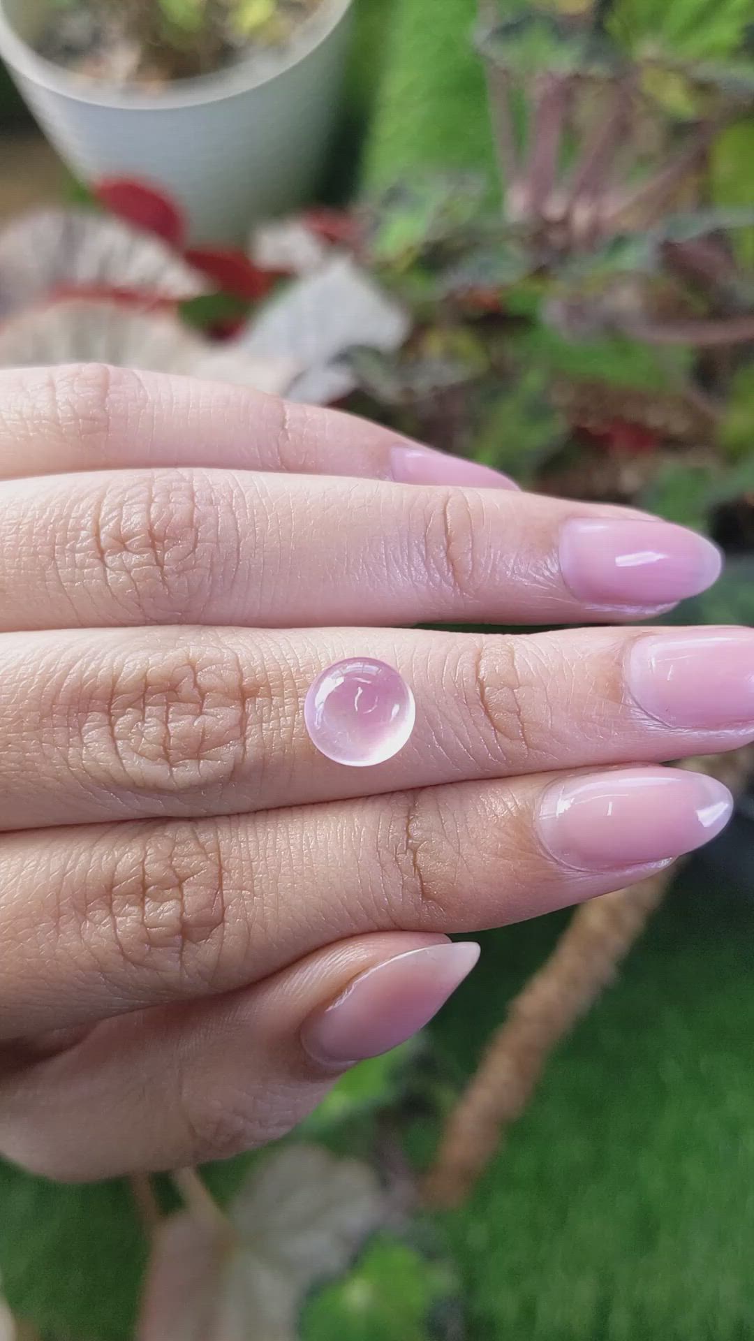 2.68 Ct. Pink Cabochon Rose Quartz from Ceylon (Sri Lanka) Size Video