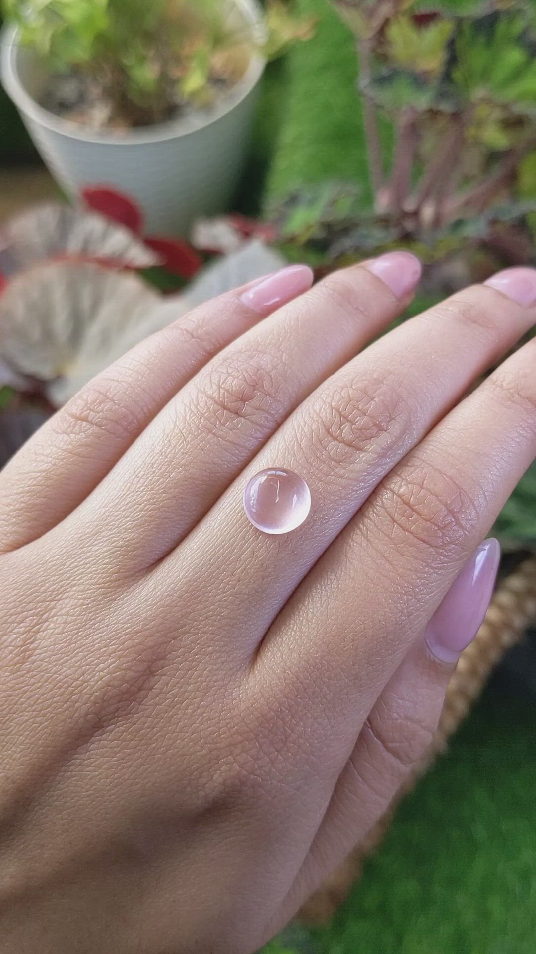 2.68 Ct. Pink Cabochon Rose Quartz from Ceylon (Sri Lanka) Size Video