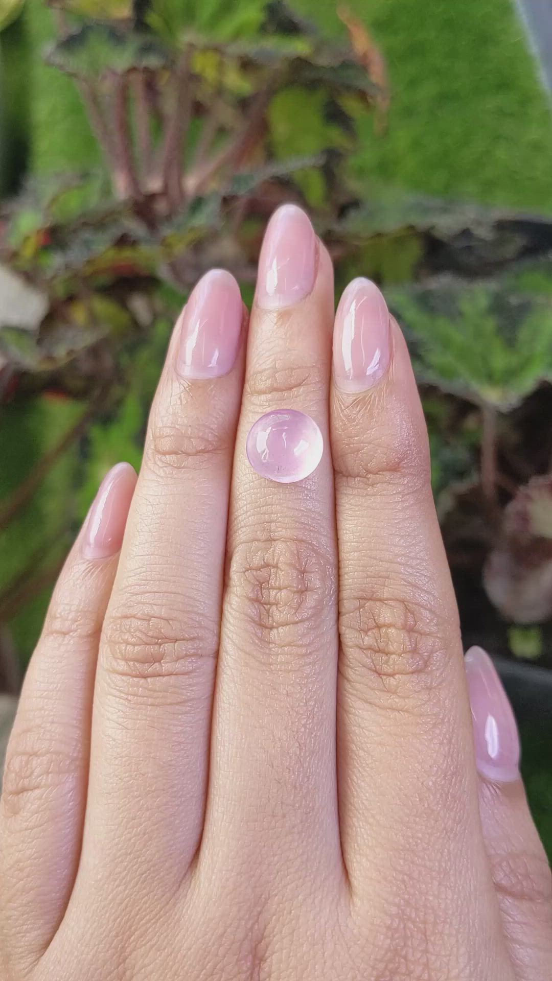 3.59 Ct. Pink Cabochon Rose Quartz from Ceylon (Sri Lanka) Size Video