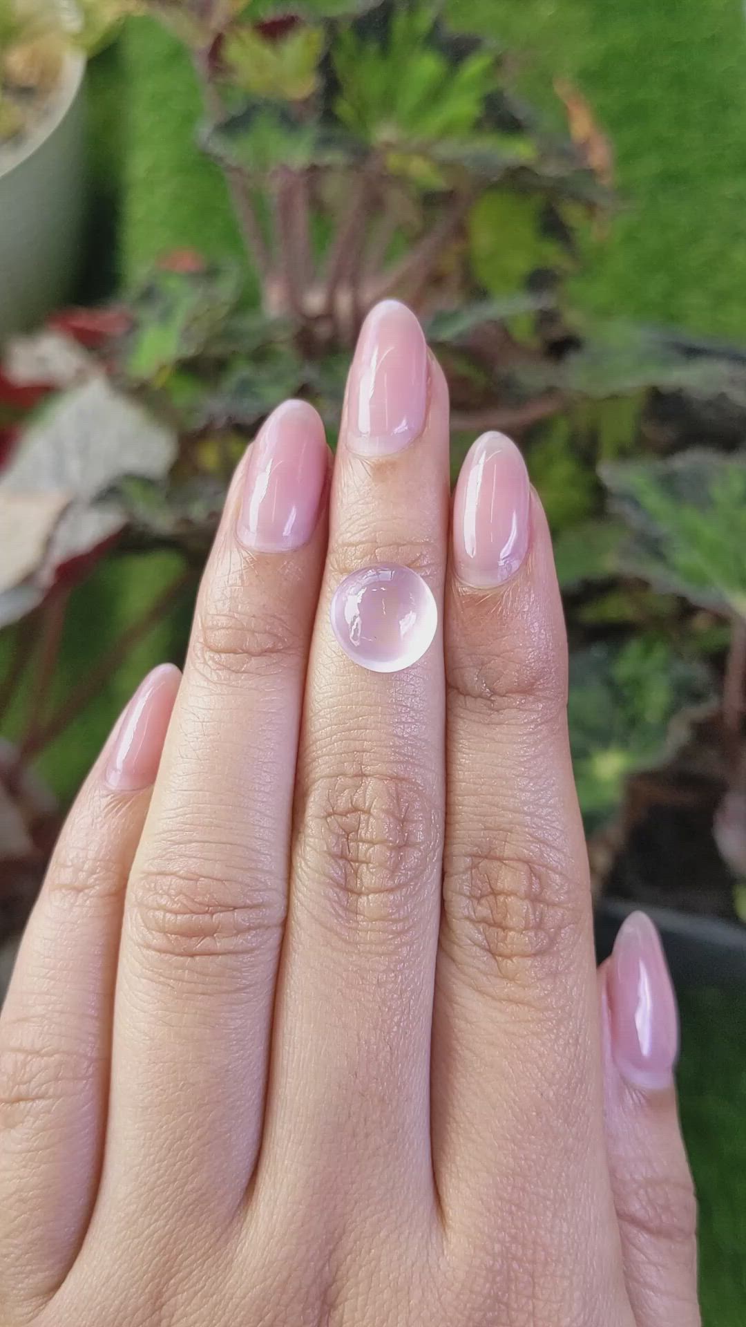 4.77 Ct. Purplish Pink Cabochon Rose Quartz from Ceylon (Sri Lanka) Size Video