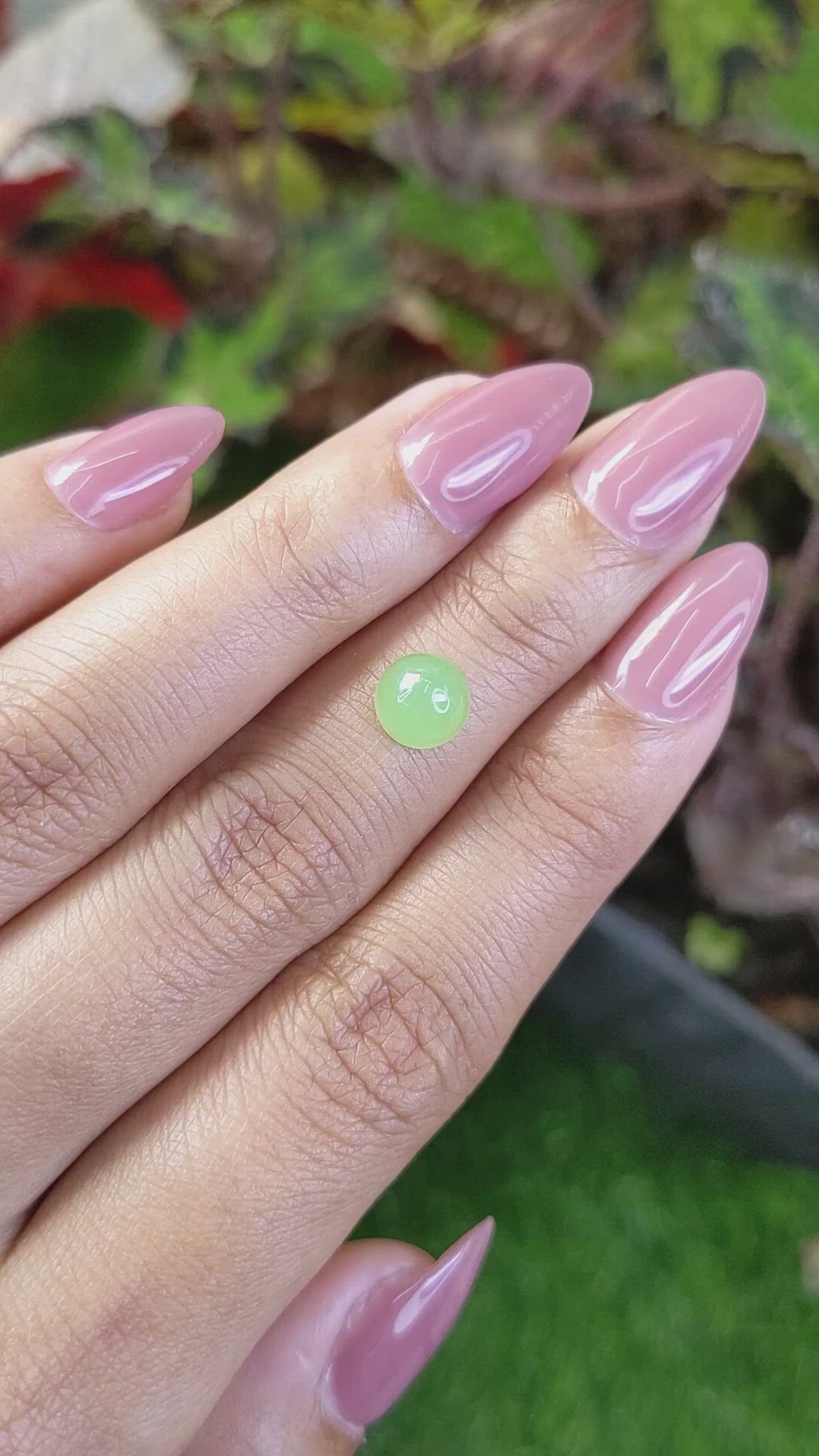 1.78 Ct. Green Cabochon Jade from Burma (Myanmar) Size Video