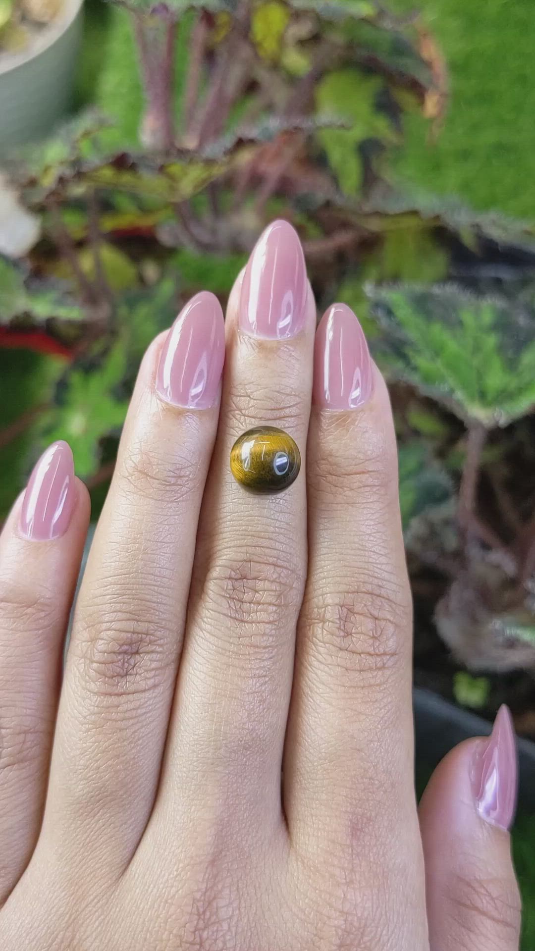 4.19 Ct. Cabochon Tiger's Eye from Ceylon (Sri Lanka) Size Video