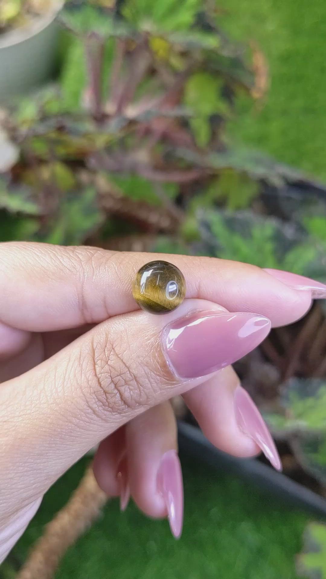 4.19 Ct. Cabochon Tiger's Eye from Ceylon (Sri Lanka) Size Video