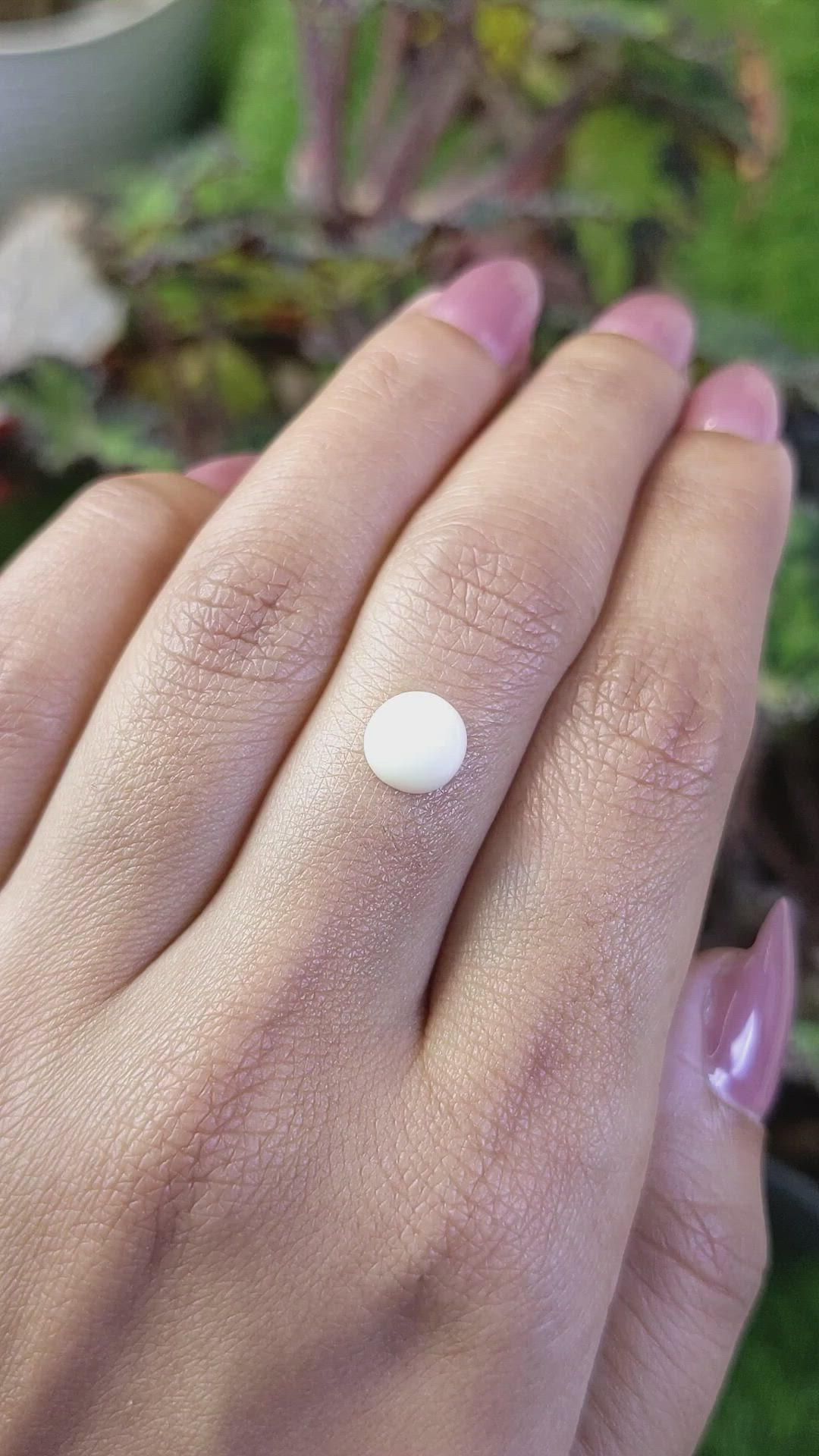 1.94 Ct. Salmon and White Cabochon Coral from Australia Size Video