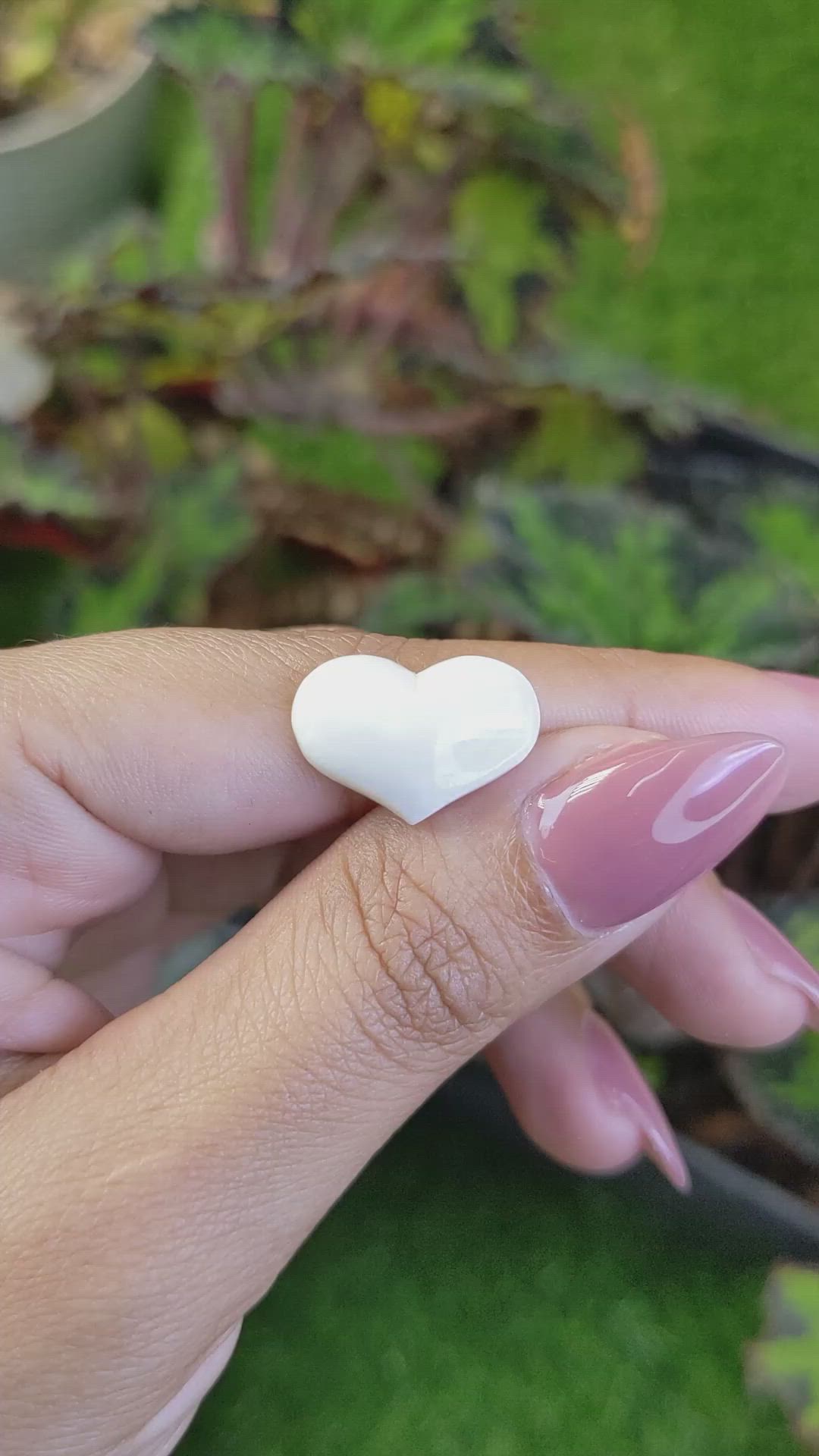 4.01 Ct. Salmon and White Cabochon Coral from Australia Size Video