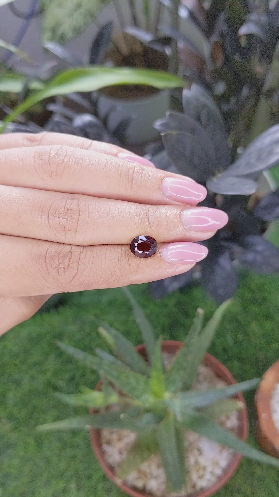 2.46 Ct. Red Garnet from Ceylon (Sri Lanka) Size Video