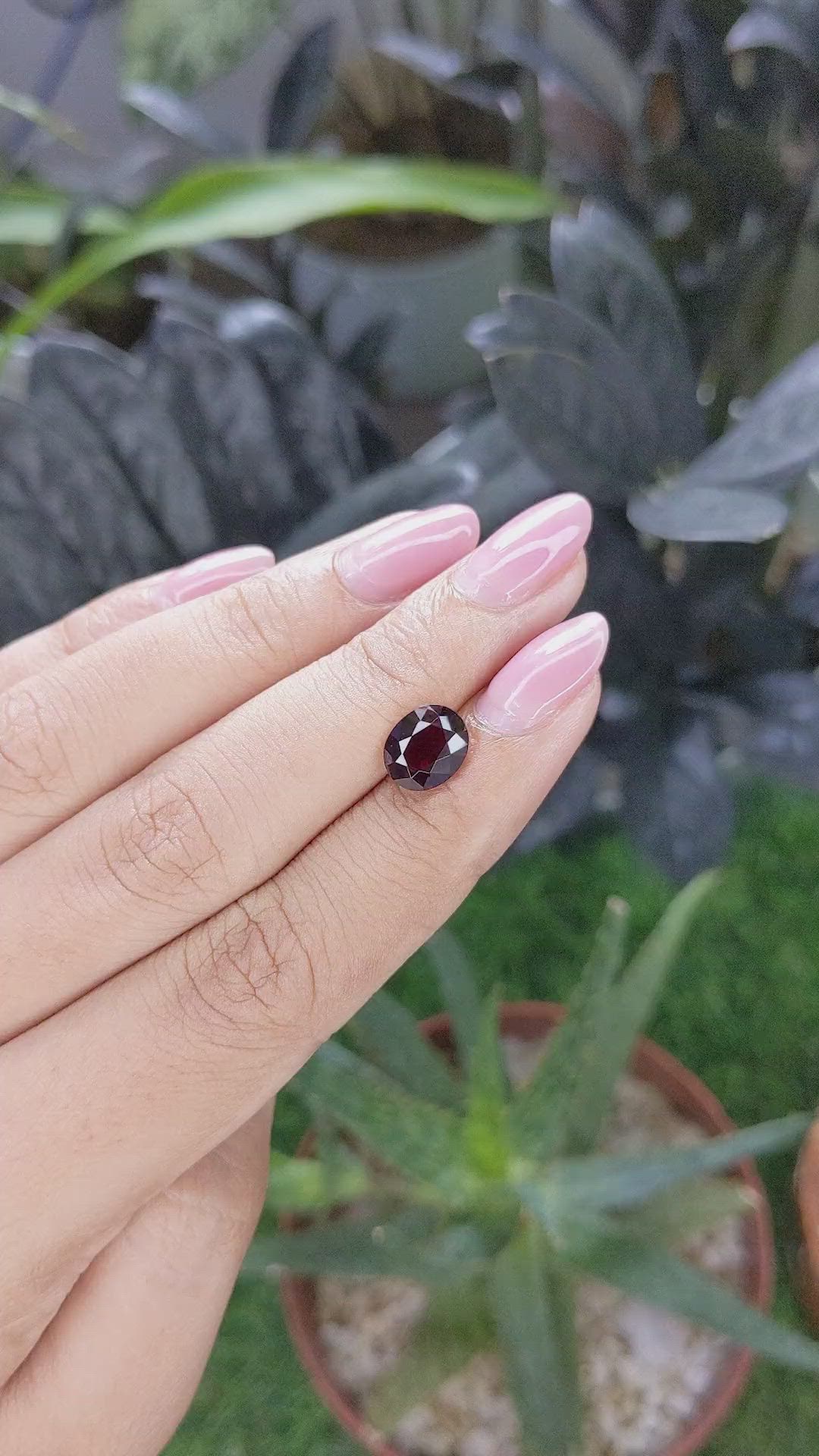 2.46 Ct. Red Garnet from Ceylon (Sri Lanka) Size Video