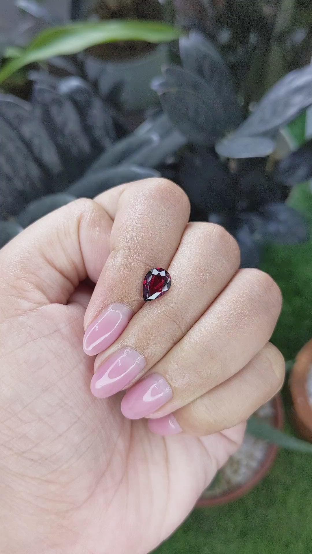 1.66 Ct. Red Garnet from Ceylon (Sri Lanka) Size Video