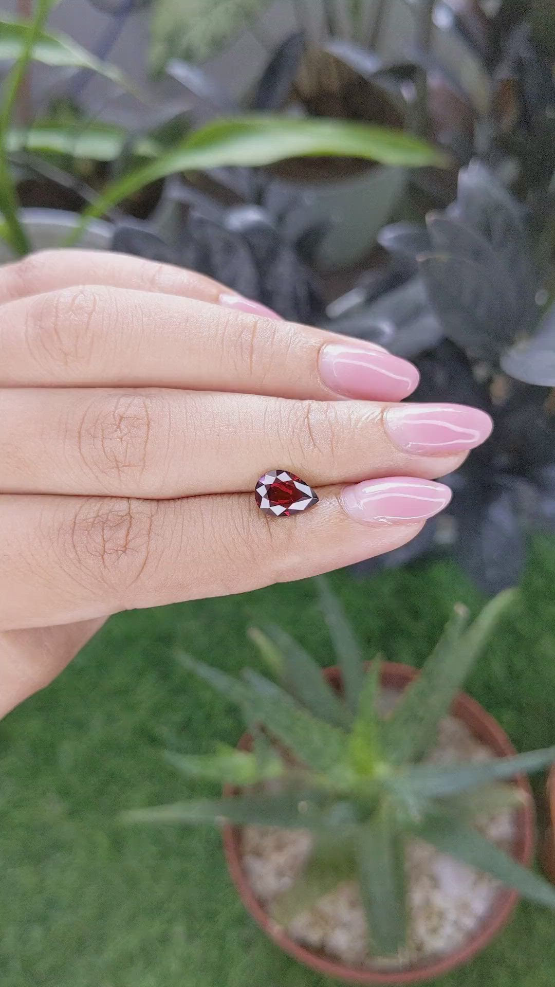 1.66 Ct. Red Garnet from Ceylon (Sri Lanka) Size Video