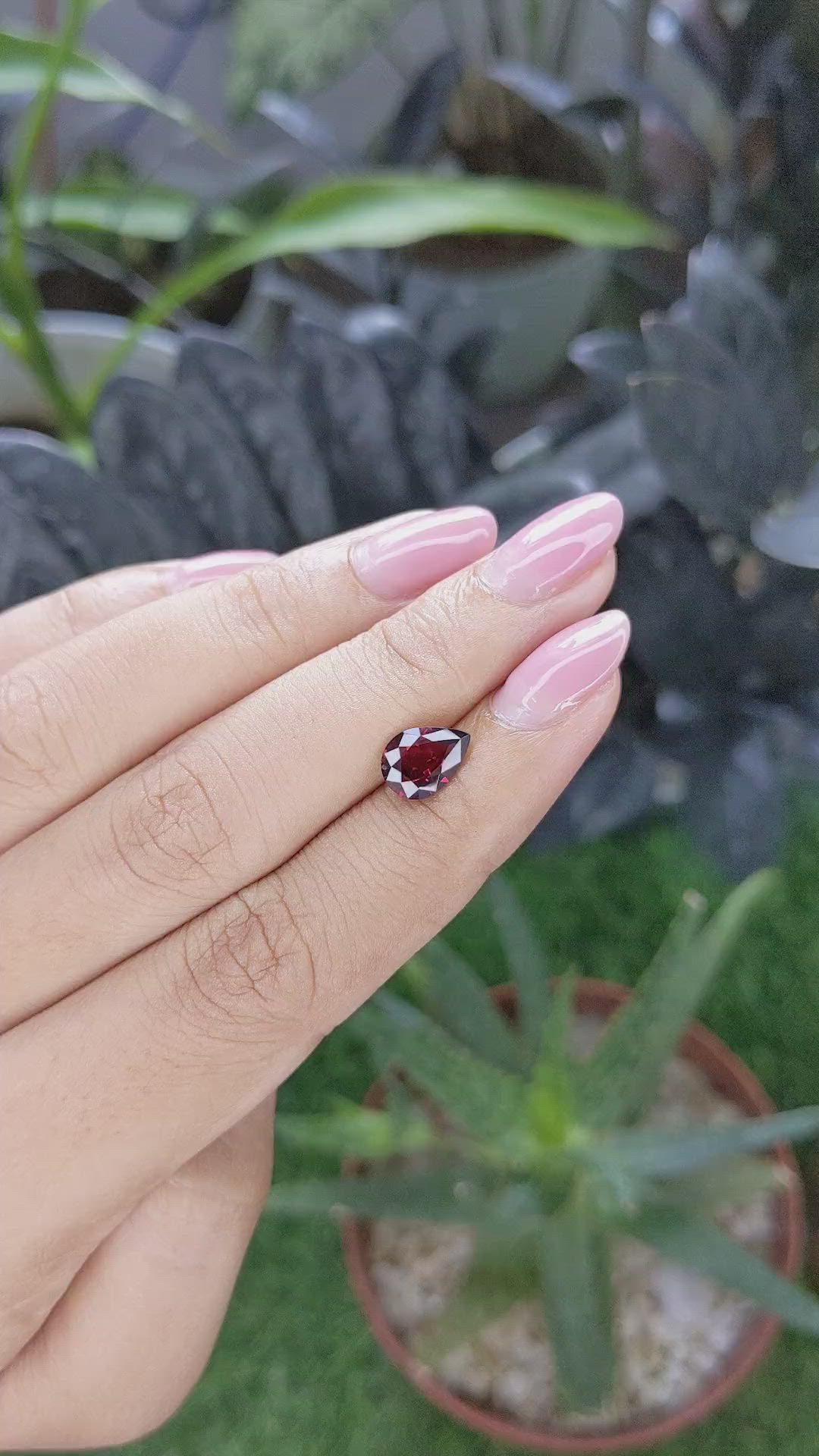 1.66 Ct. Red Garnet from Ceylon (Sri Lanka) Size Video