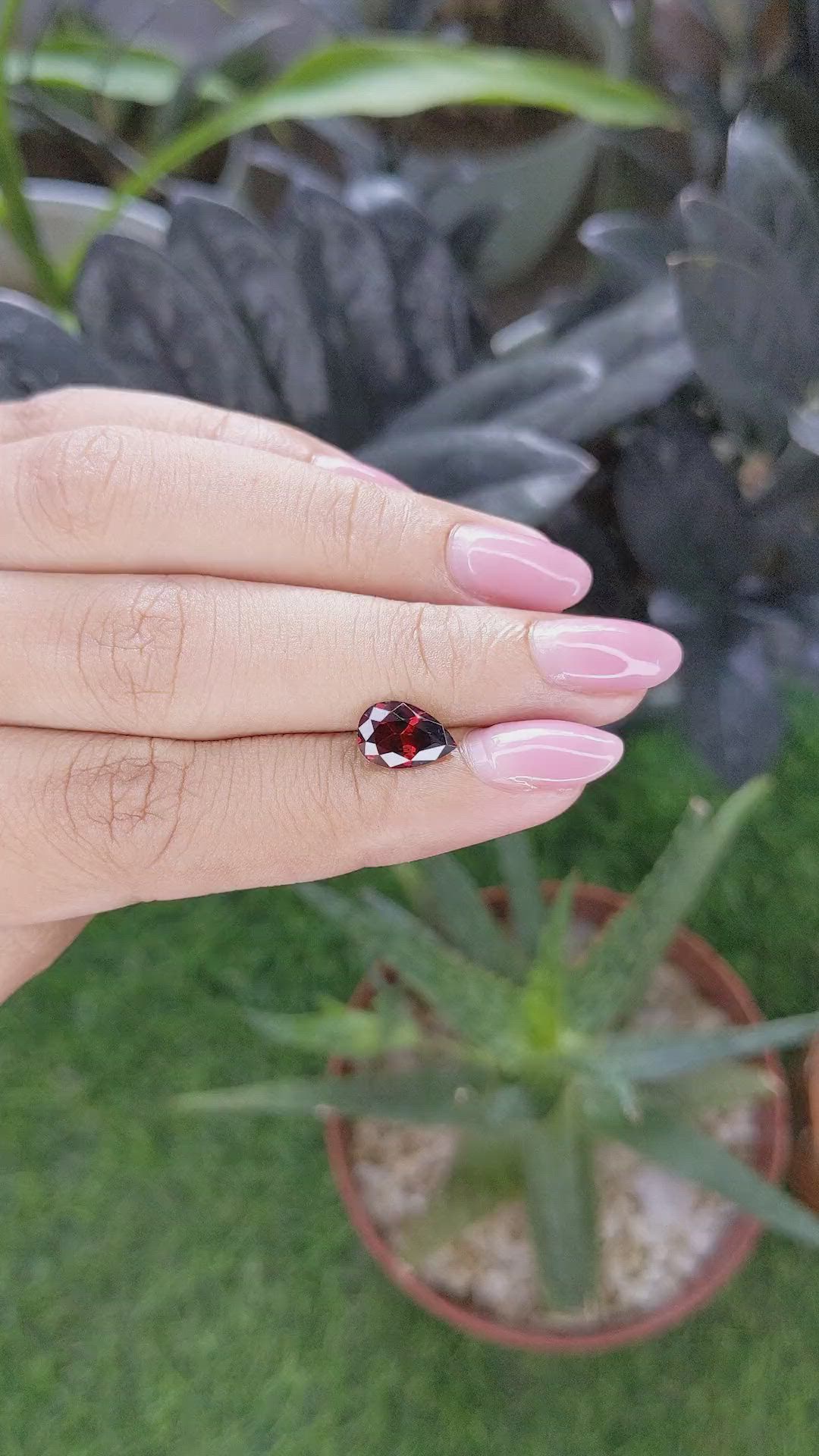 1.74 Ct. Red Garnet from Ceylon (Sri Lanka) Size Video