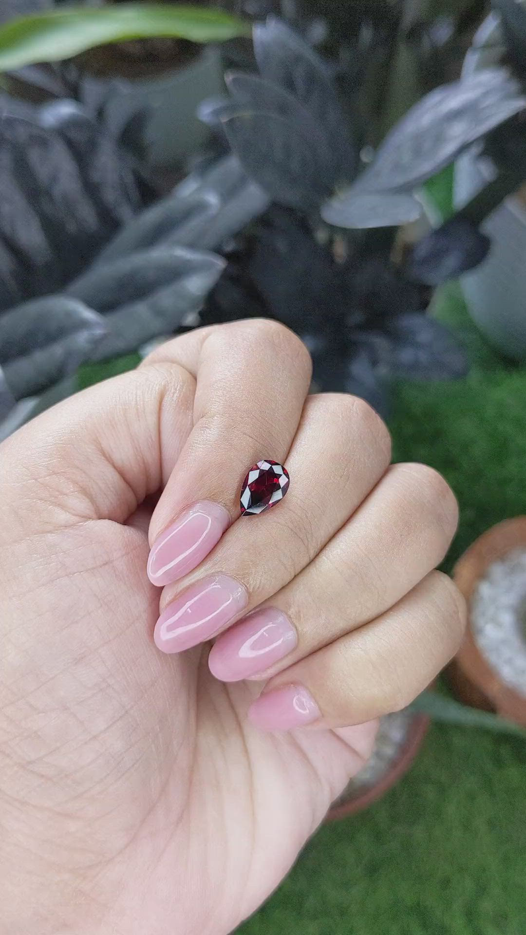 1.74 Ct. Red Garnet from Ceylon (Sri Lanka) Size Video