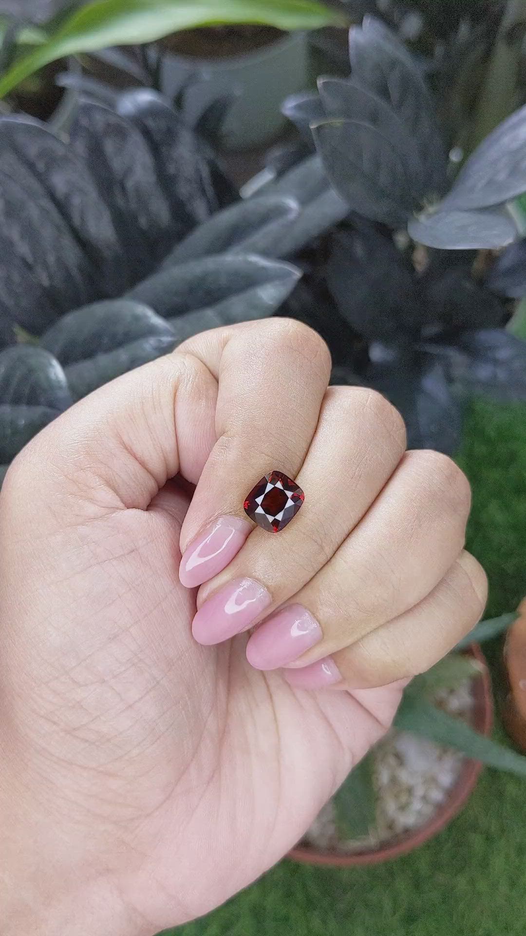 3.63 Ct. Red Garnet from Ceylon (Sri Lanka) Size Video
