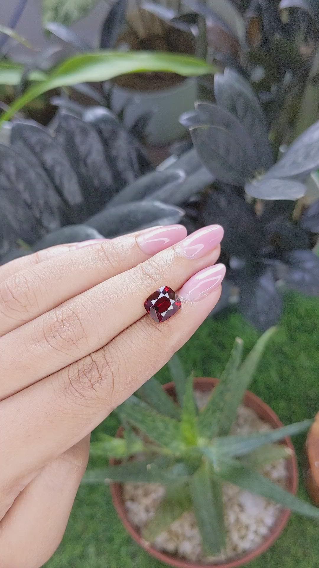 3.63 Ct. Red Garnet from Ceylon (Sri Lanka) Size Video