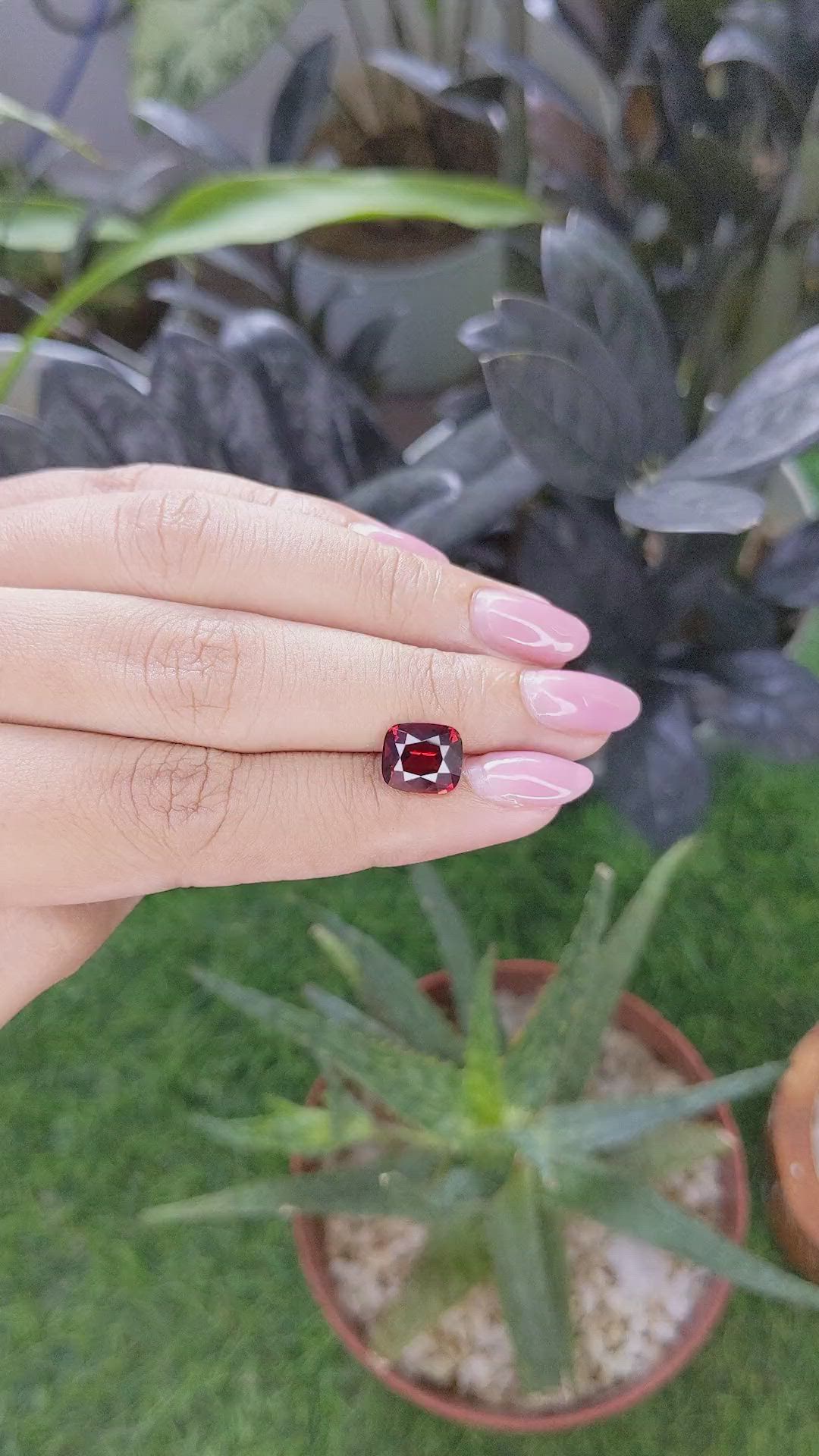 3.63 Ct. Red Garnet from Ceylon (Sri Lanka) Size Video