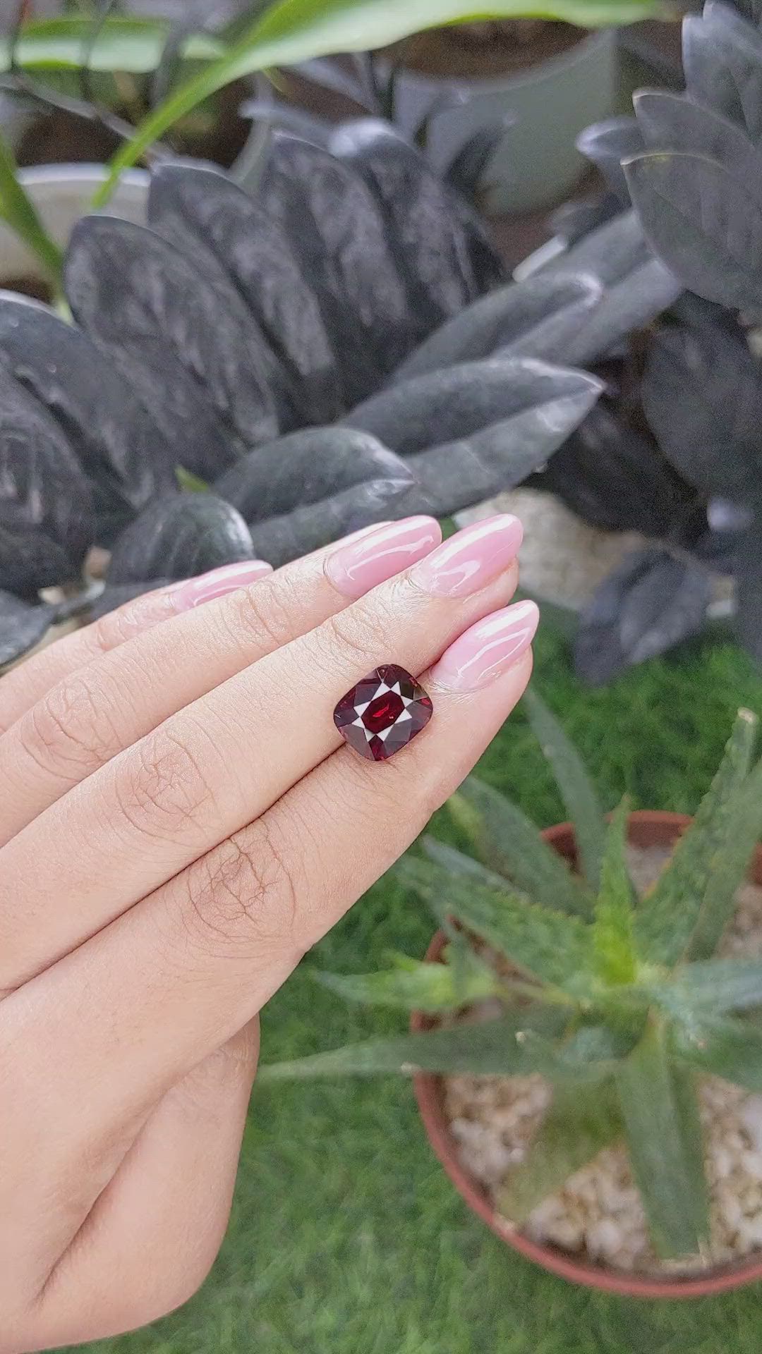 5.51 Ct. Red Garnet from Ceylon (Sri Lanka) Size Video