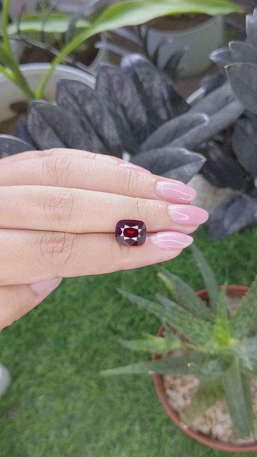 5.51 Ct. Red Garnet from Ceylon (Sri Lanka) Size Video